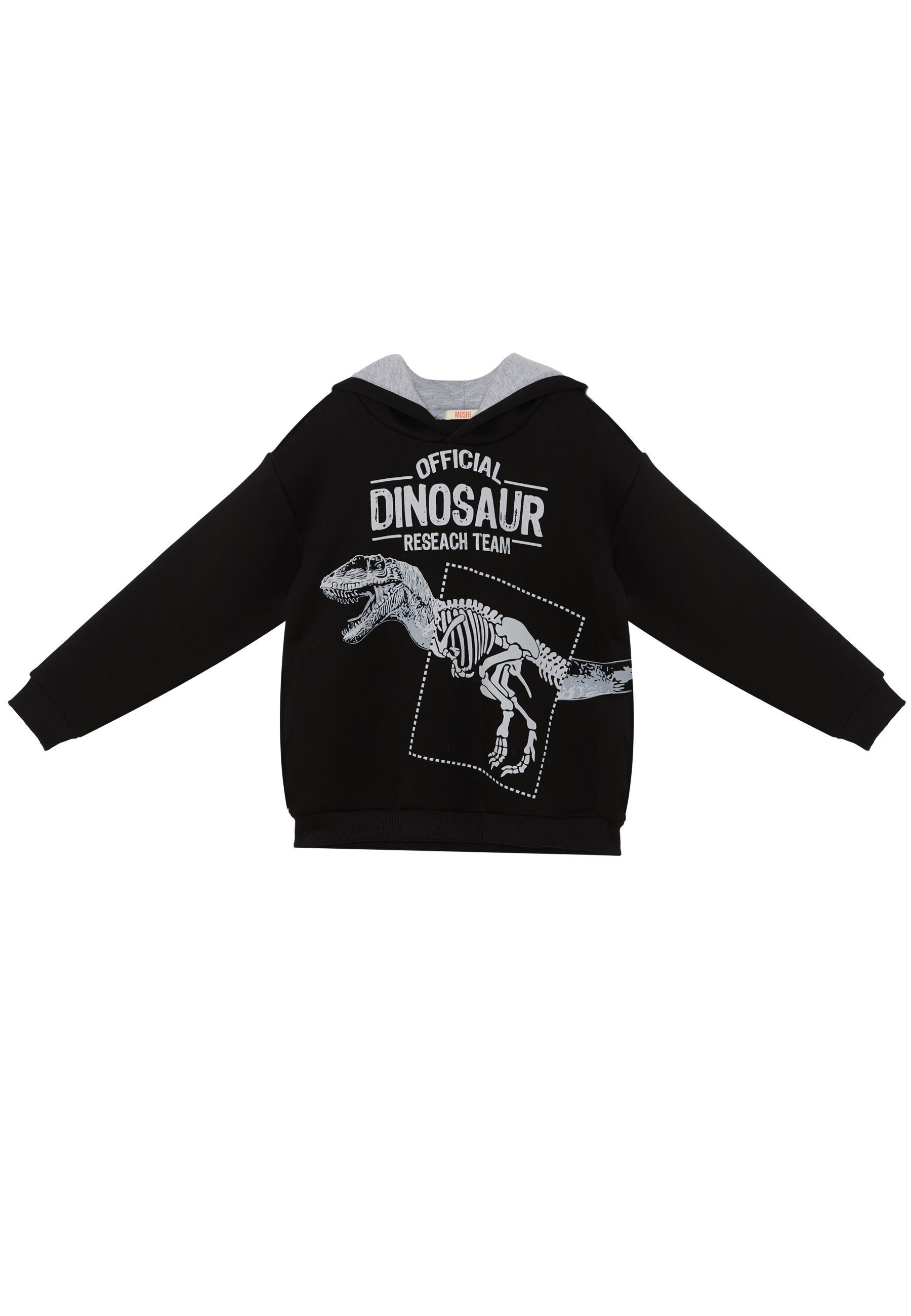 Denokids Kapuzenpullover »Dino Research«, mit Dinosaurier-Motiv