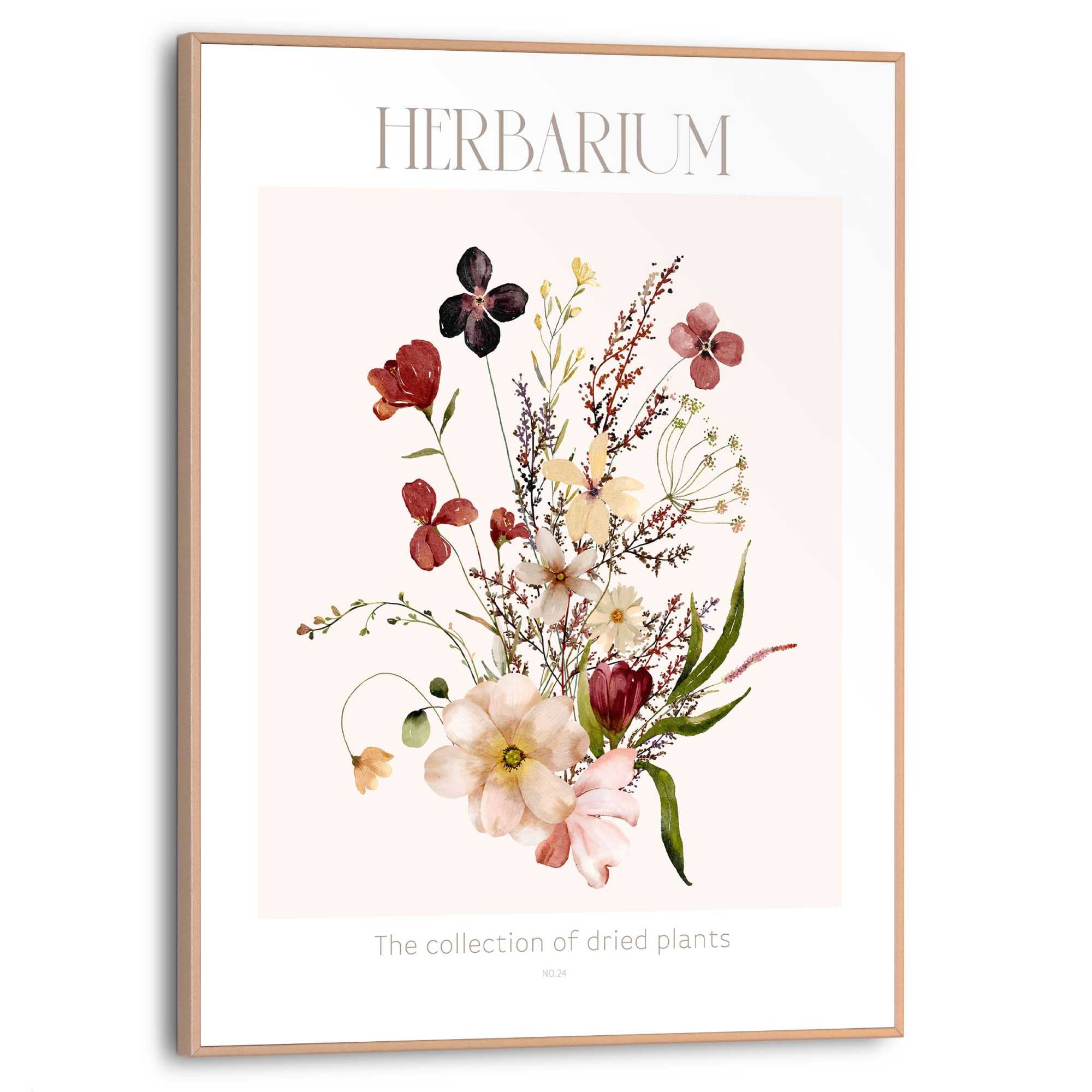 Reinders! Bild mit Rahmen »Herbarium«