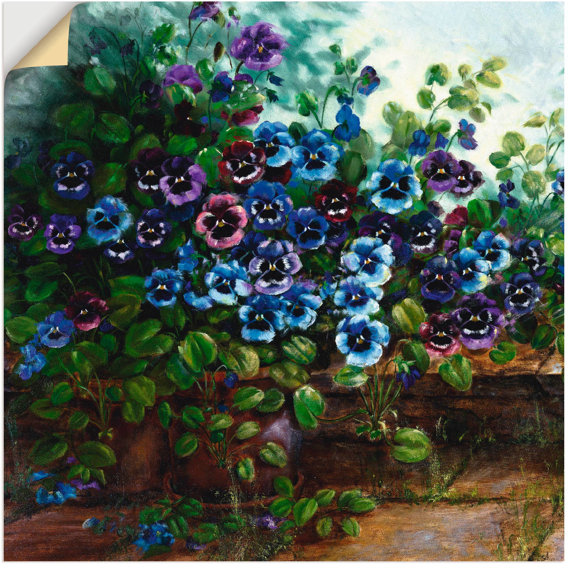 Artland Wandbild »Stiefmütterchen II«, Blumen, (1 St.), als Alubild,  Leinwandbild, Wandaufkleber oder Poster in versch. Größen bestellen | BAUR
