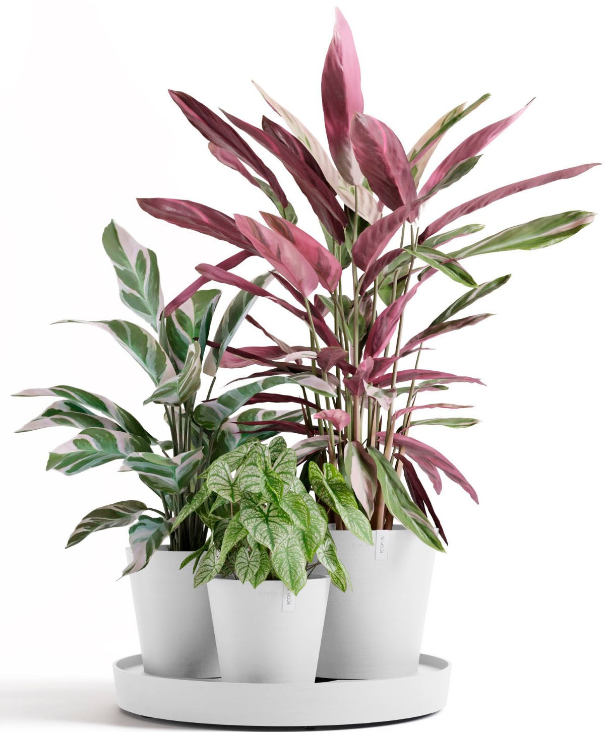 ECOPOTS Blumentopf »Dubai Weiß« für innen und außen: frostsicher, bruchsicher und lichtbeständig