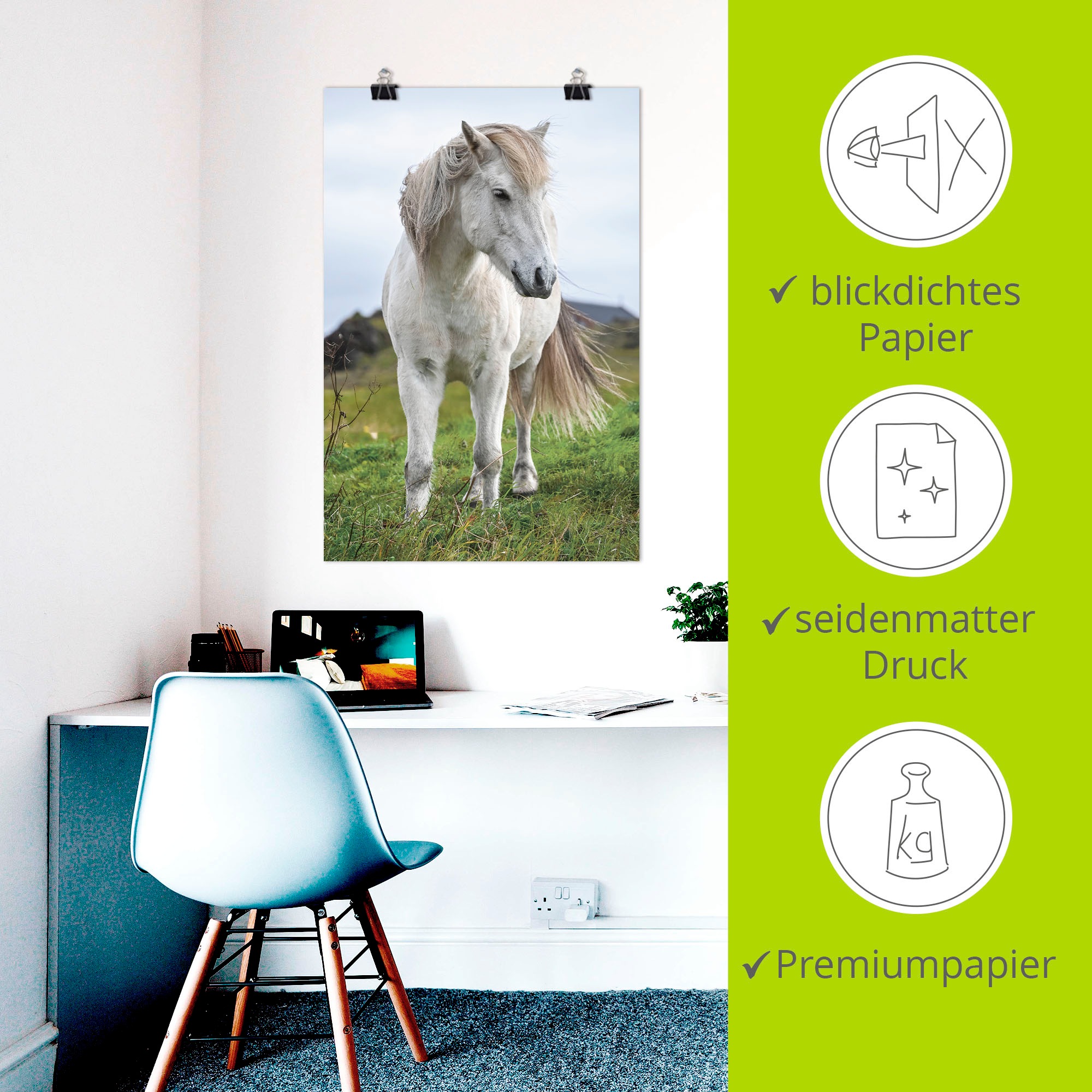 Artland Wandbild »Weißes Islandpferd auf Wiese« Pferdebilder 1 Stk. tlg. als Alubild, Leinwandbild, Poster, Wandaufkleber in verschied. Größen
