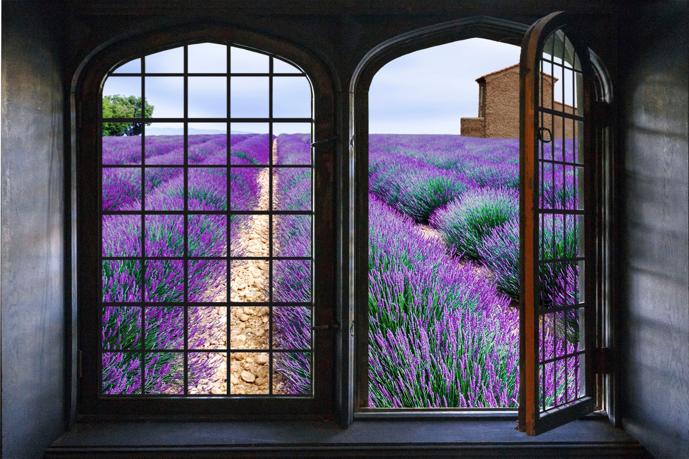 queence Wandsticker "Lavendel", Wandsticker, Wandbild, selbstklebend, 3D, F günstig online kaufen