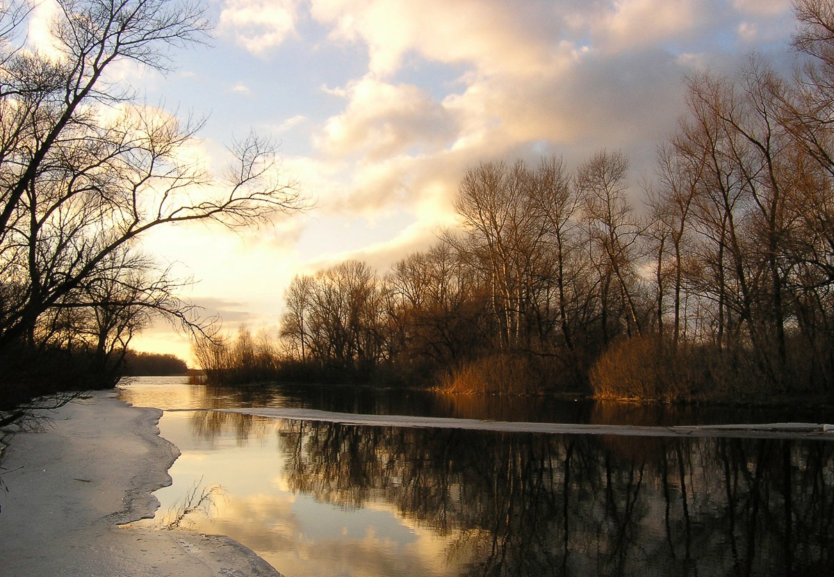 Papermoon Fototapete »Wald am Flus«