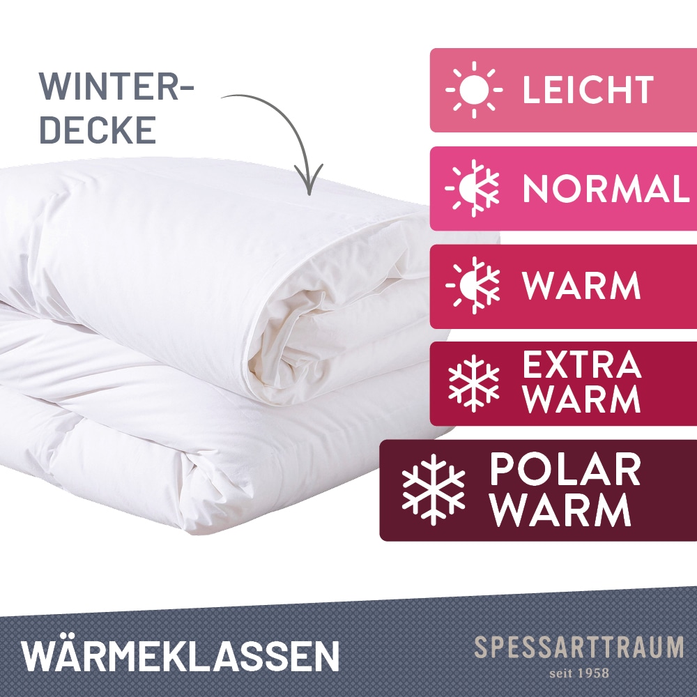 SPESSARTTRAUM Daunenbettdecke + Federkissen »First Class«, (Spar-Set), Sparset: 5 Wärmeklassen, 135x200 cm & 155x220 cm