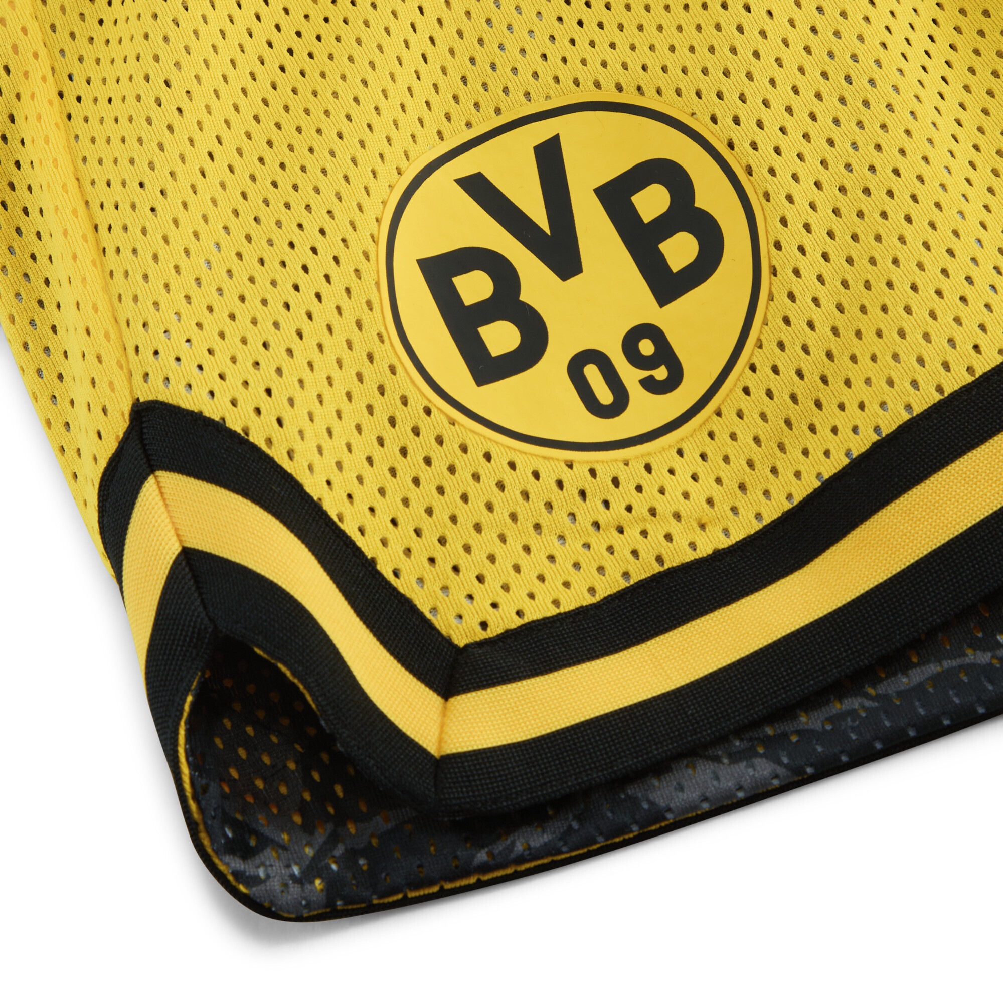 PUMA Shorts »PUMA HOOPS x Borussia Dortmund Shorts Herren«