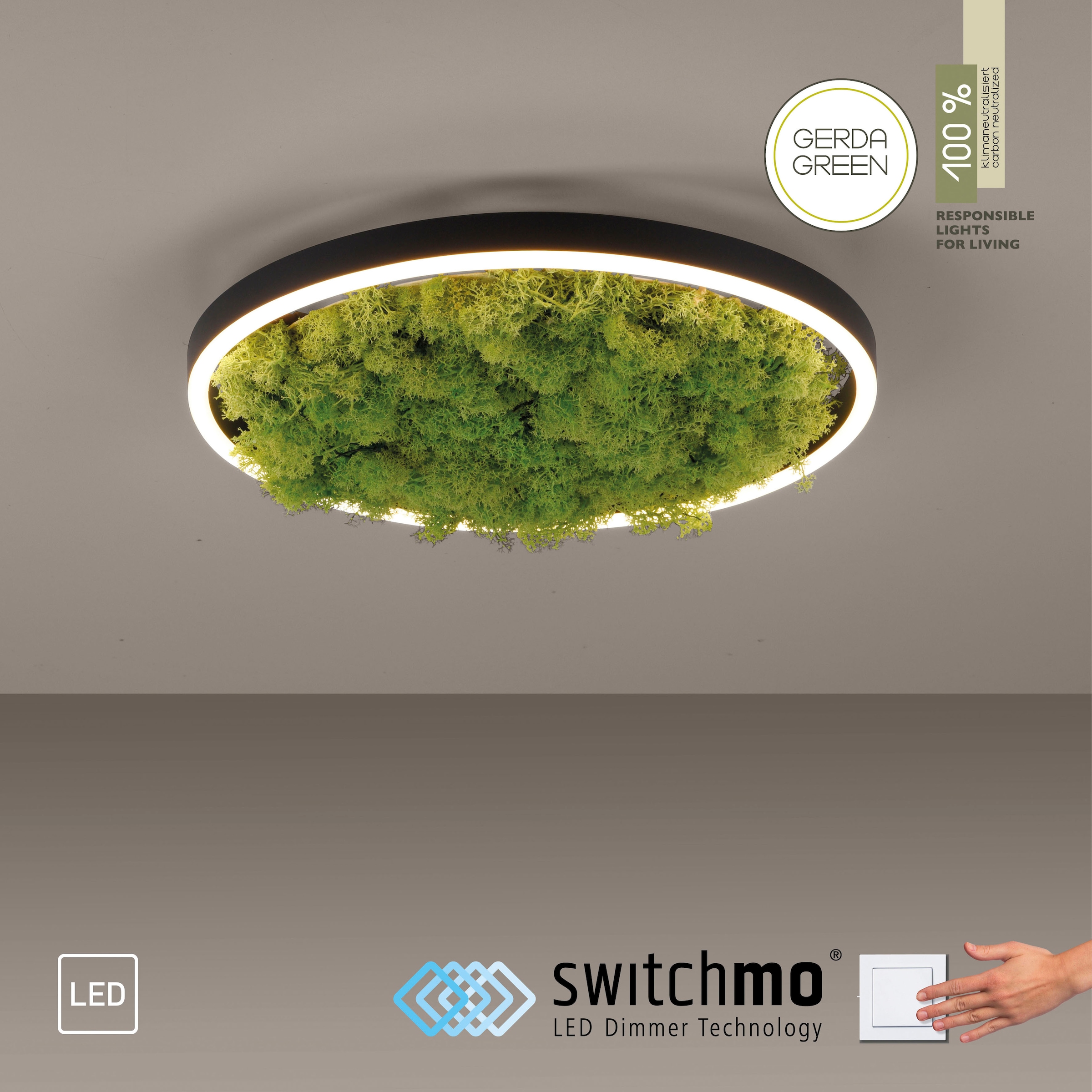 JUST LIGHT Deckenleuchte »GREEN RITU«, 1 flammig, Leuchtmittel LED-Board | LED fest integriert