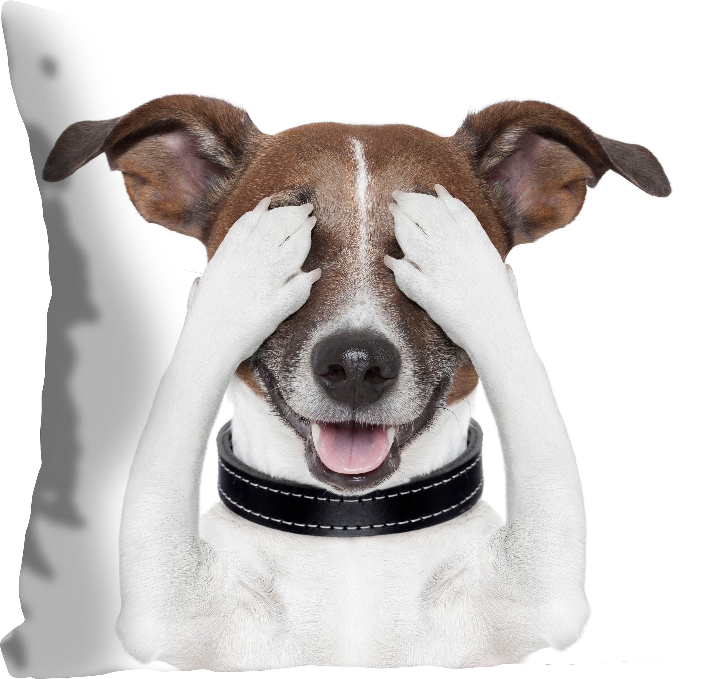 queence Dekokissen »Paul«, Kissenhülle,Hund,Augen zu,Weiß,Süß,Witzig,Lustig,Niedlich,Verspielt
