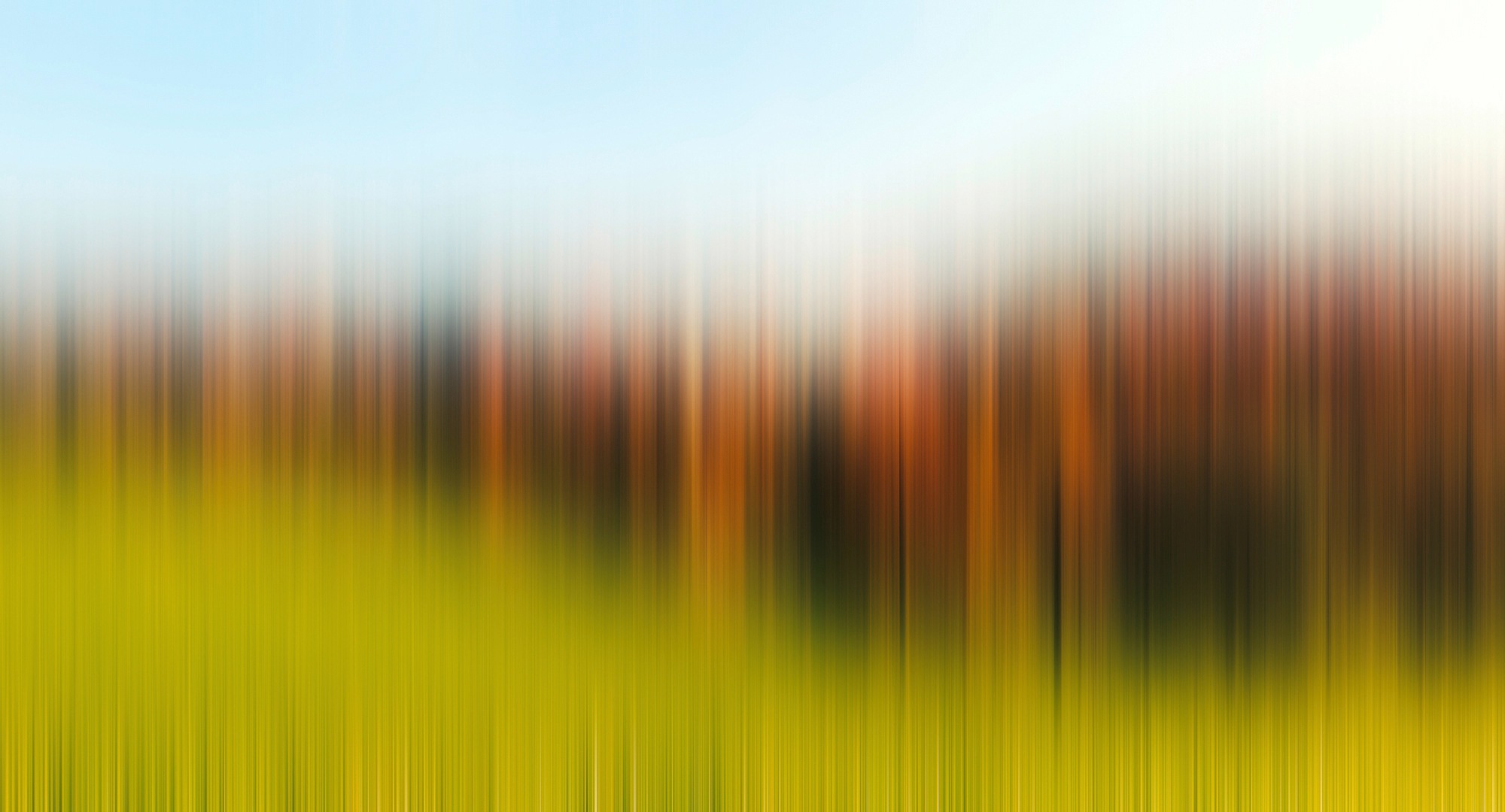Architects Paper Fototapete "Atelier 47 Diffused Tree Row 2" abstrakt glatt Vlies, Wand, Schräge, Decke