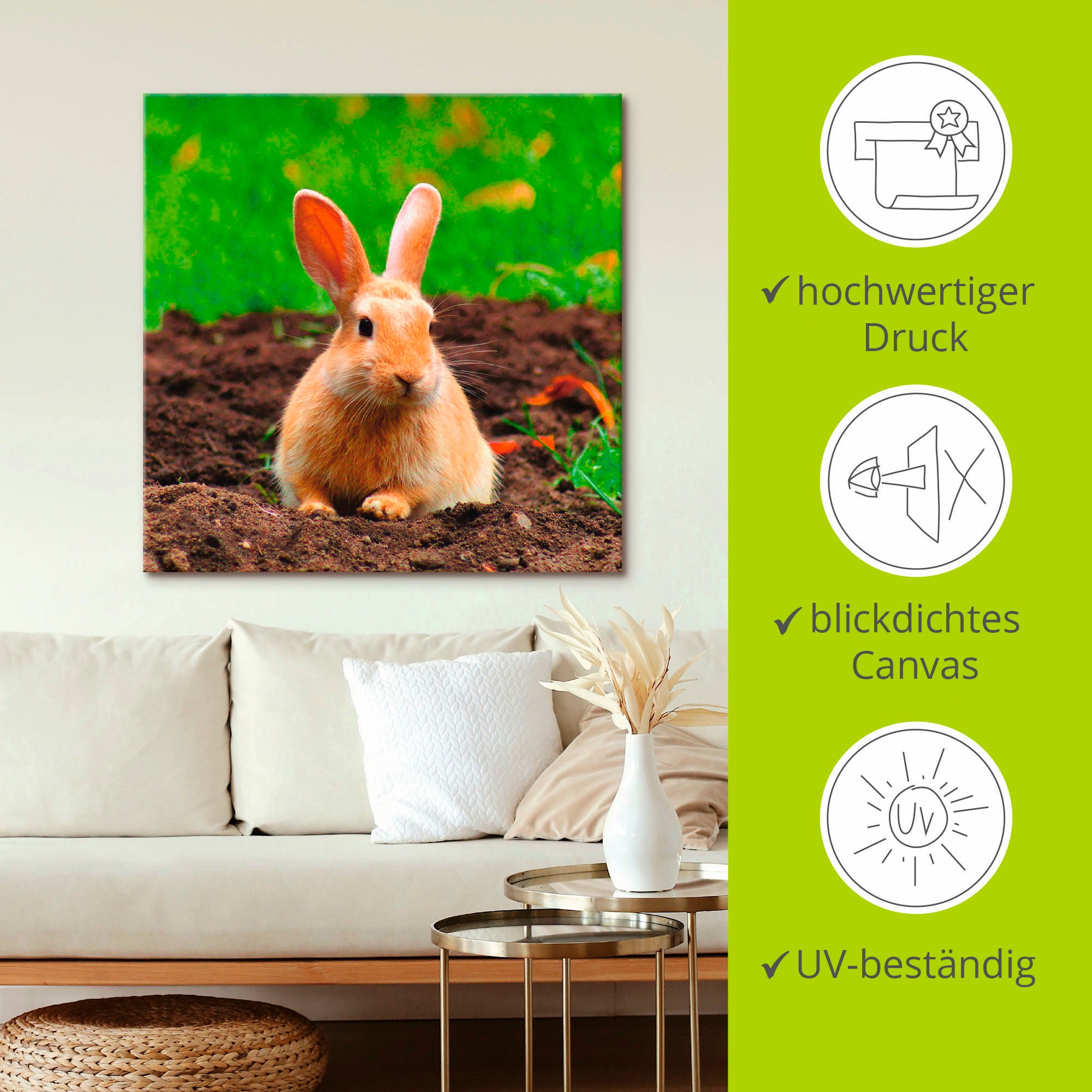Artland Wandbild »Glückliches Zwergkaninchen«, Wildtiere, (1 St.), als Leinwandbild, Wandaufkleber in verschied. Größen