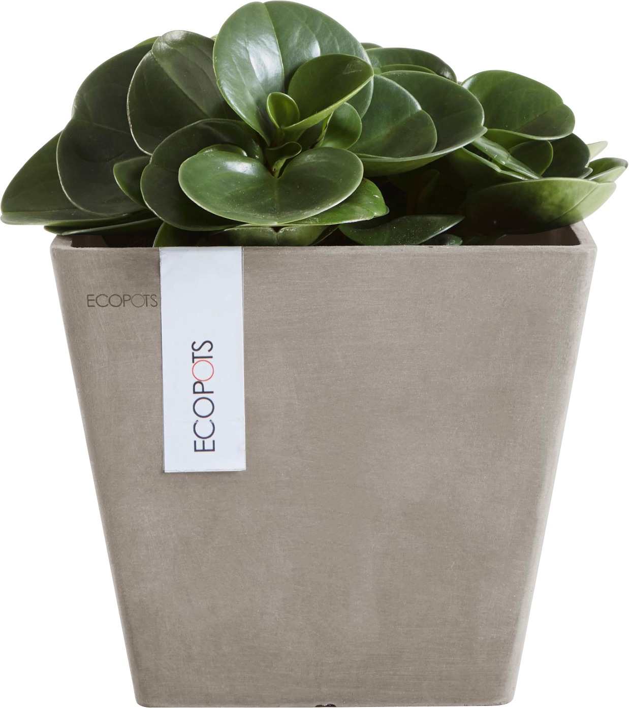 ECOPOTS Blumentopf »ROTTERDAM Taupe«, BxTxH: 20x20x17,5 cm