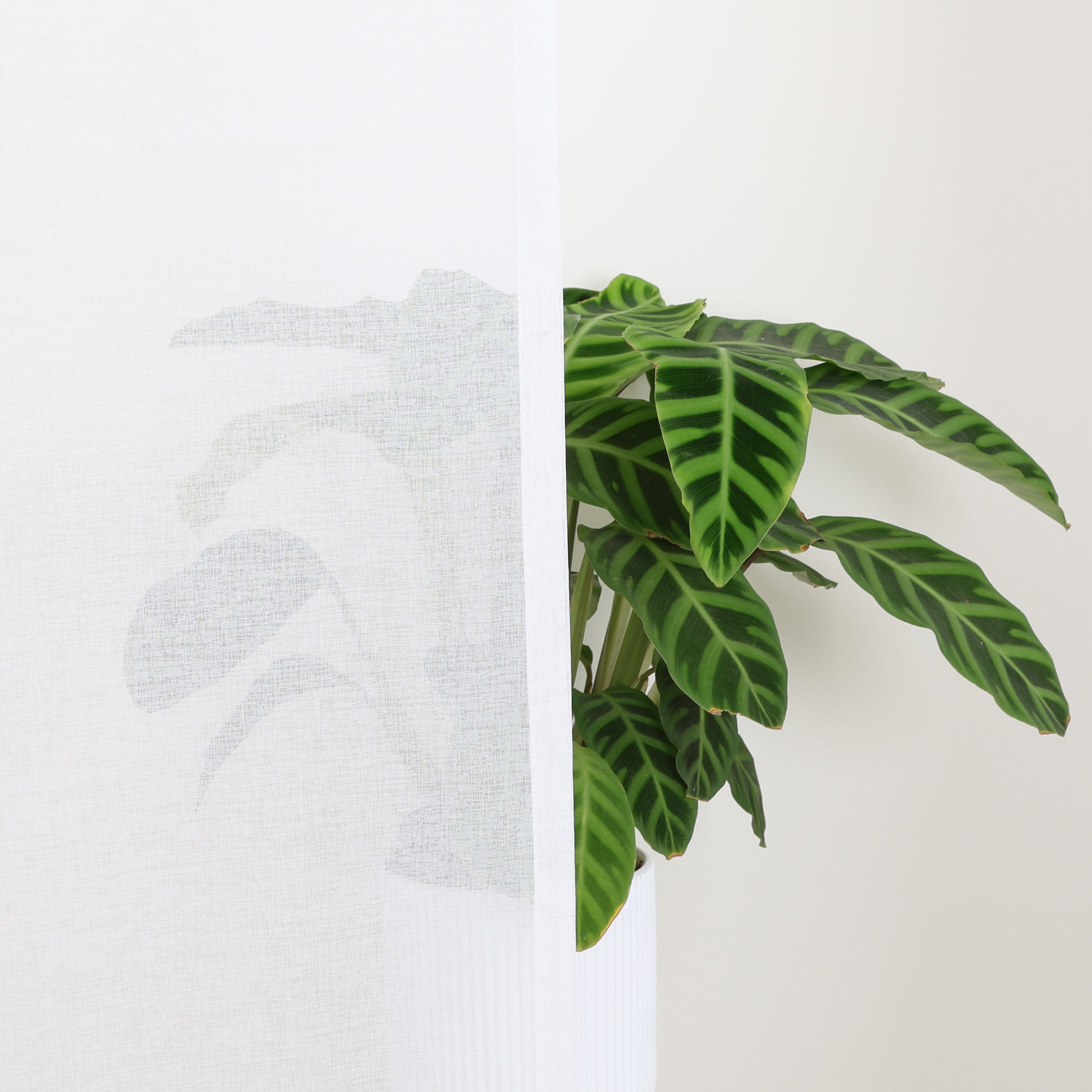my home Gardine »Dolly«, (1 St.), gewebt, Polyester