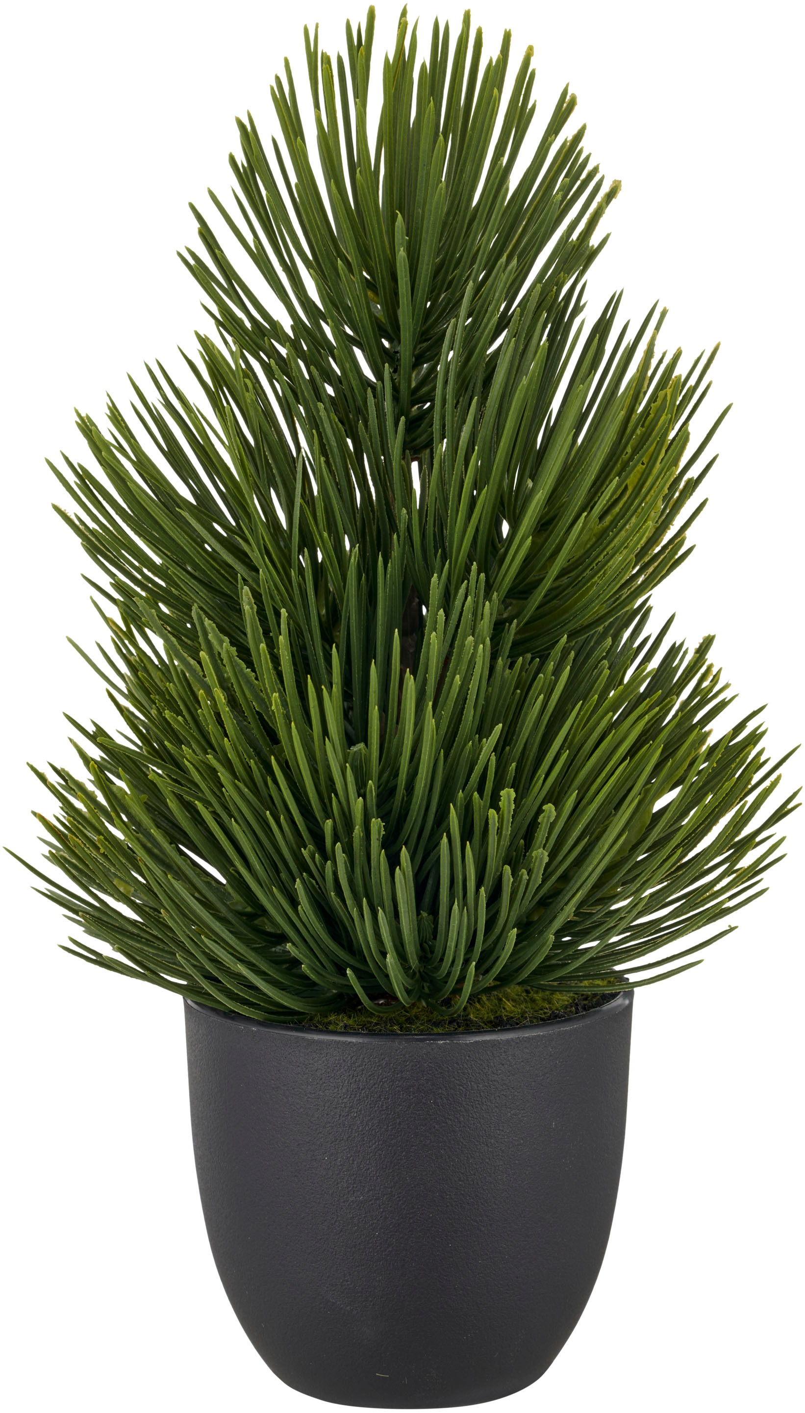 Creativ green Winterliche Kunstpflanze "Kiefernbäumchen" günstig online kaufen