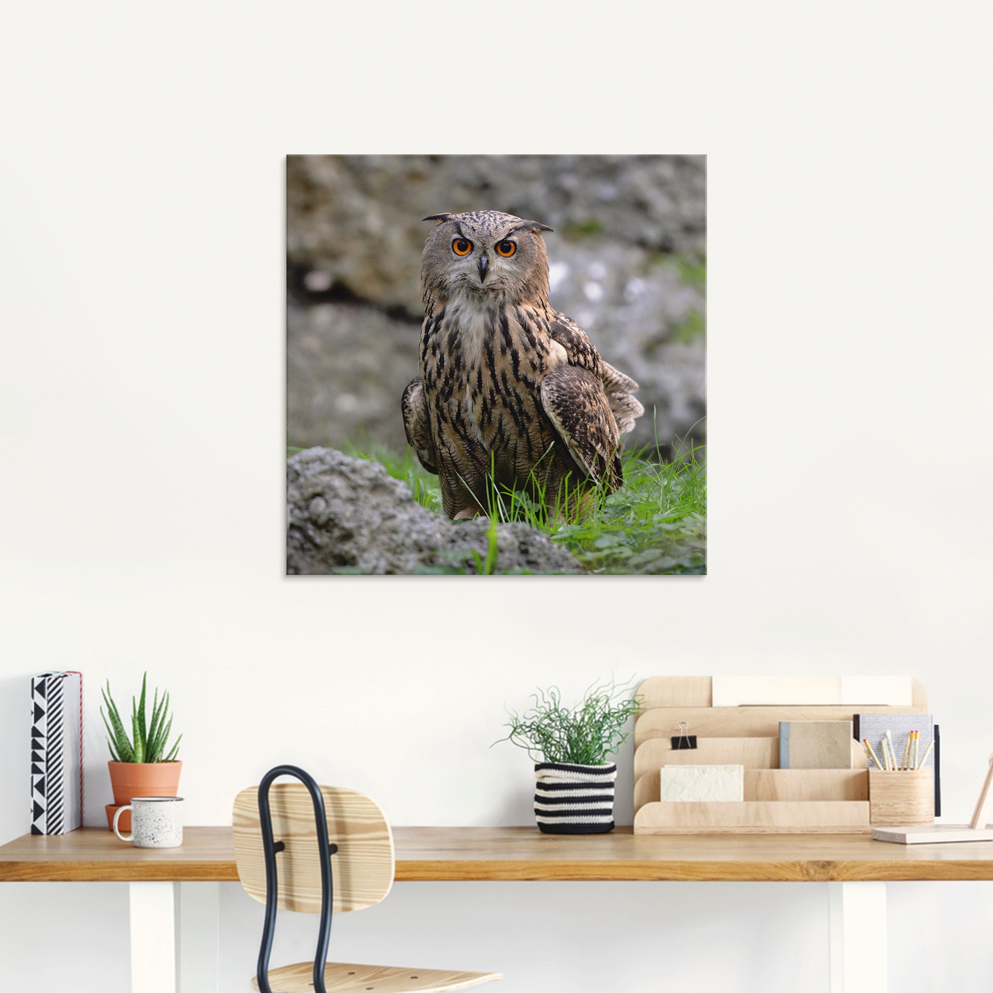 Artland Glasbild »Uhu«, Vögel, (1 St.), in verschiedenen Größen