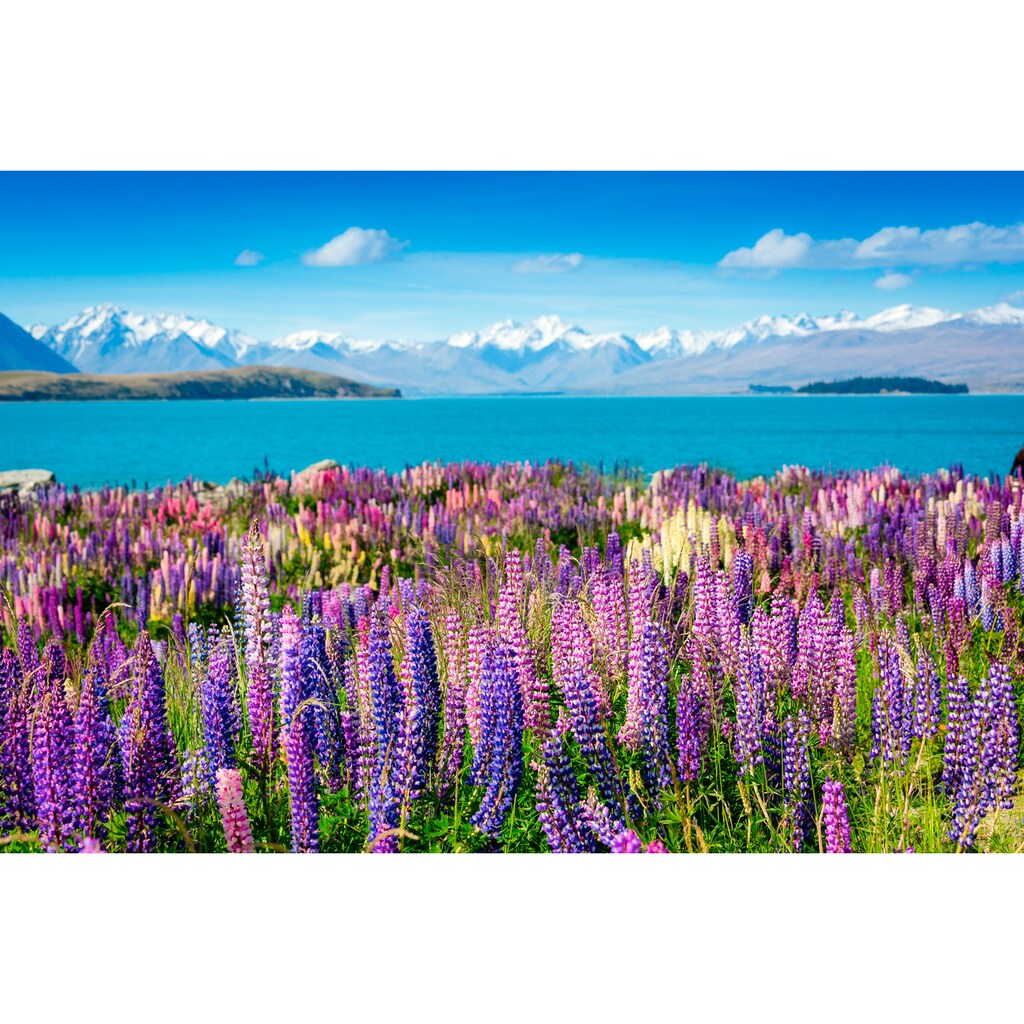 Papermoon Fototapete »Montain Lake with Flowers«