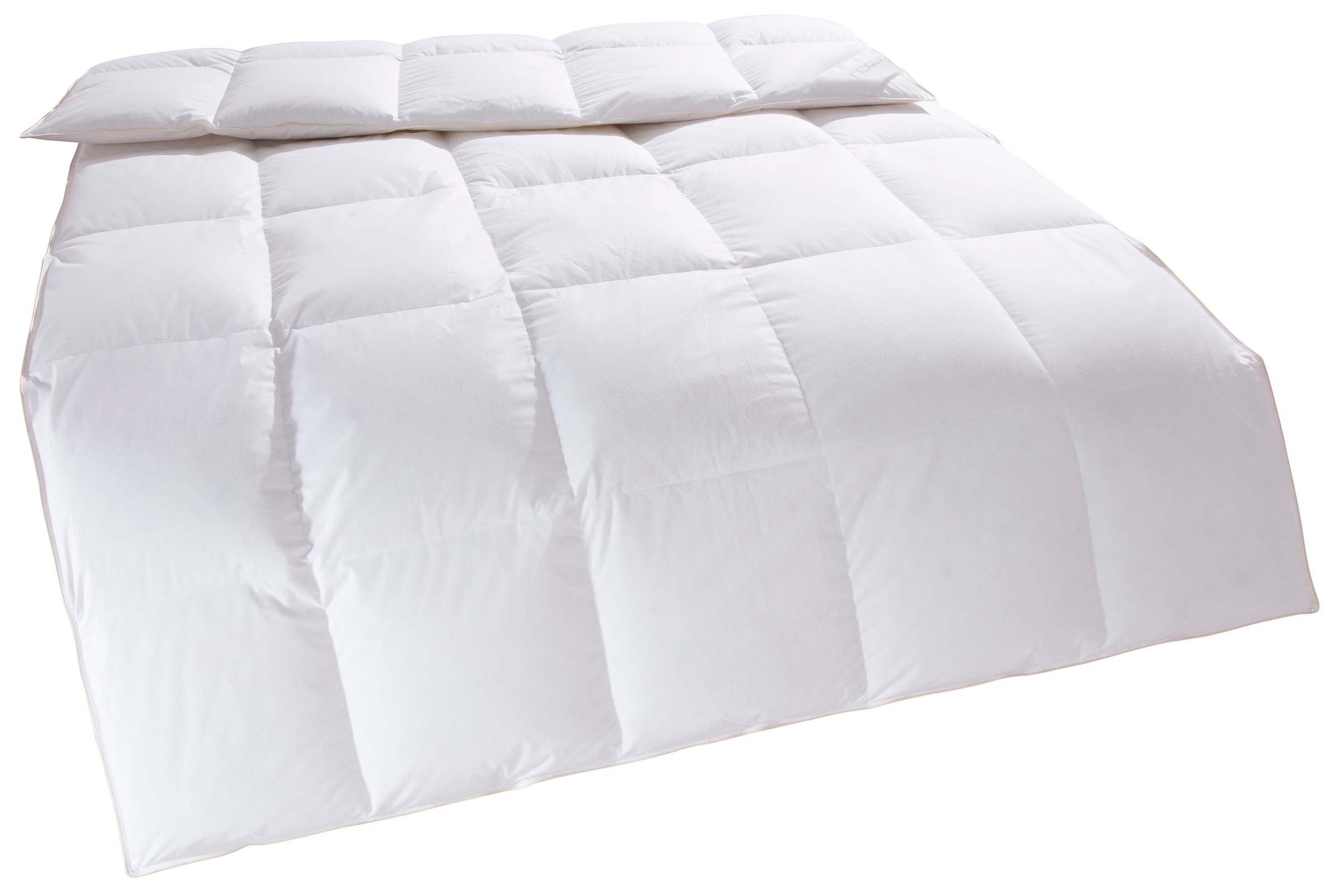 Home affaire Daunenbettdecke "Litrone, Bettdecke 135x200 cm, 155x220 cm, 20 günstig online kaufen