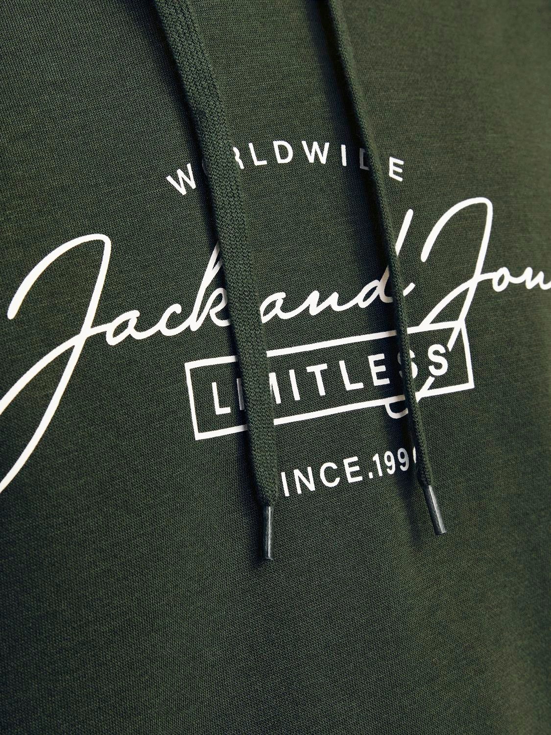 Jack & Jones Kapuzensweatshirt »JJFERRIS SWEAT HOOD«