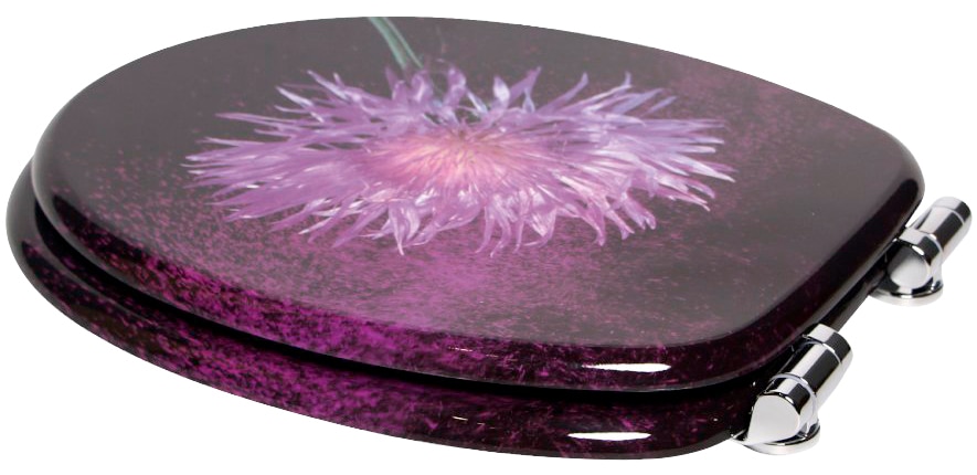 Sanilo WC-Sitz »Purple Dust«, mit Absenkautomatik