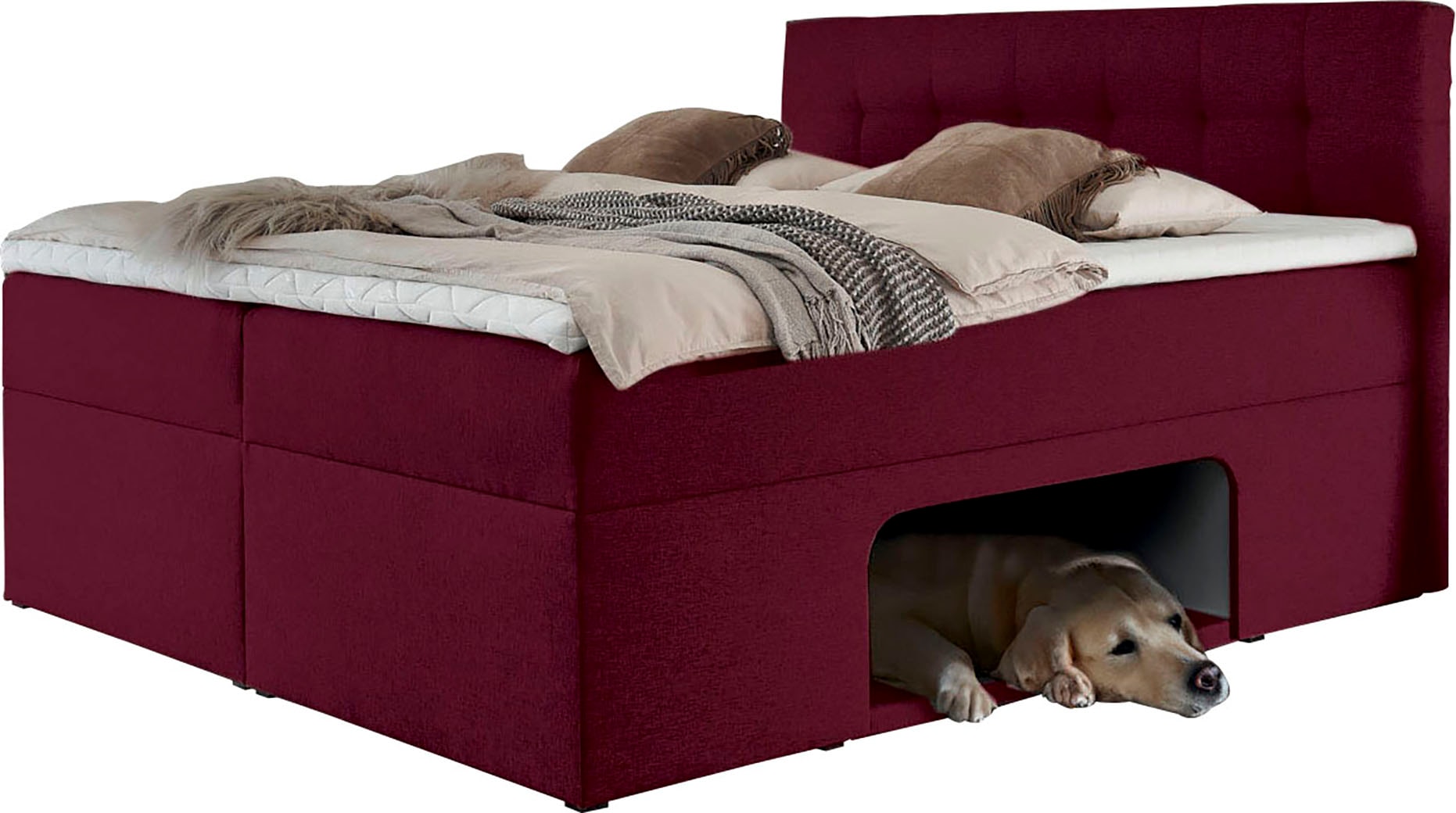 Places of Style Boxbett »Carolin«, mit Nische inkl. gepolsterter Unterlage für Haustiere