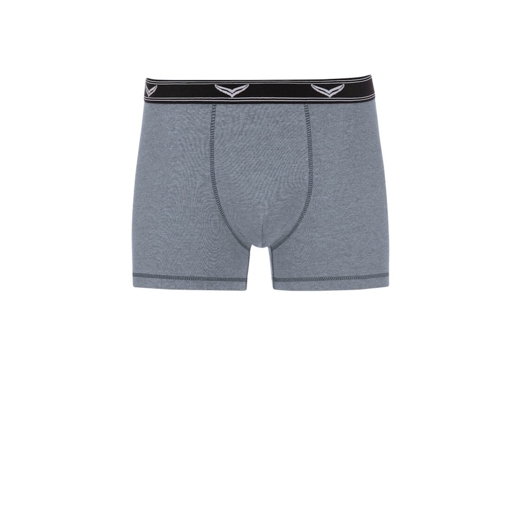 Trigema Boxer »TRIGEMA Bequeme Pants mit Webgummibund«, (1 St.)