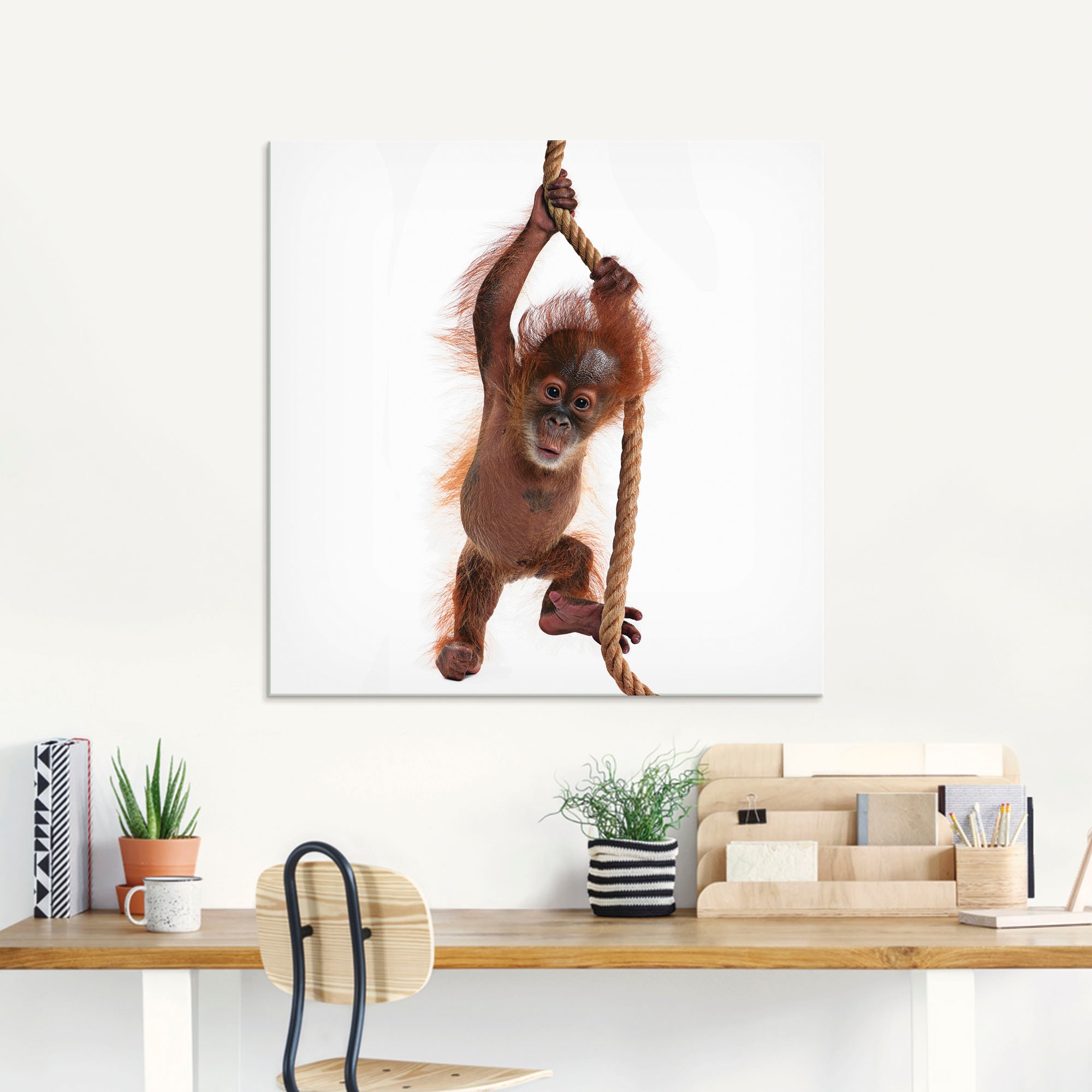 Artland Glasbild »Baby Orang Utan hängt am Seil I«, Wildtiere, (1 St.), in verschiedenen Größen