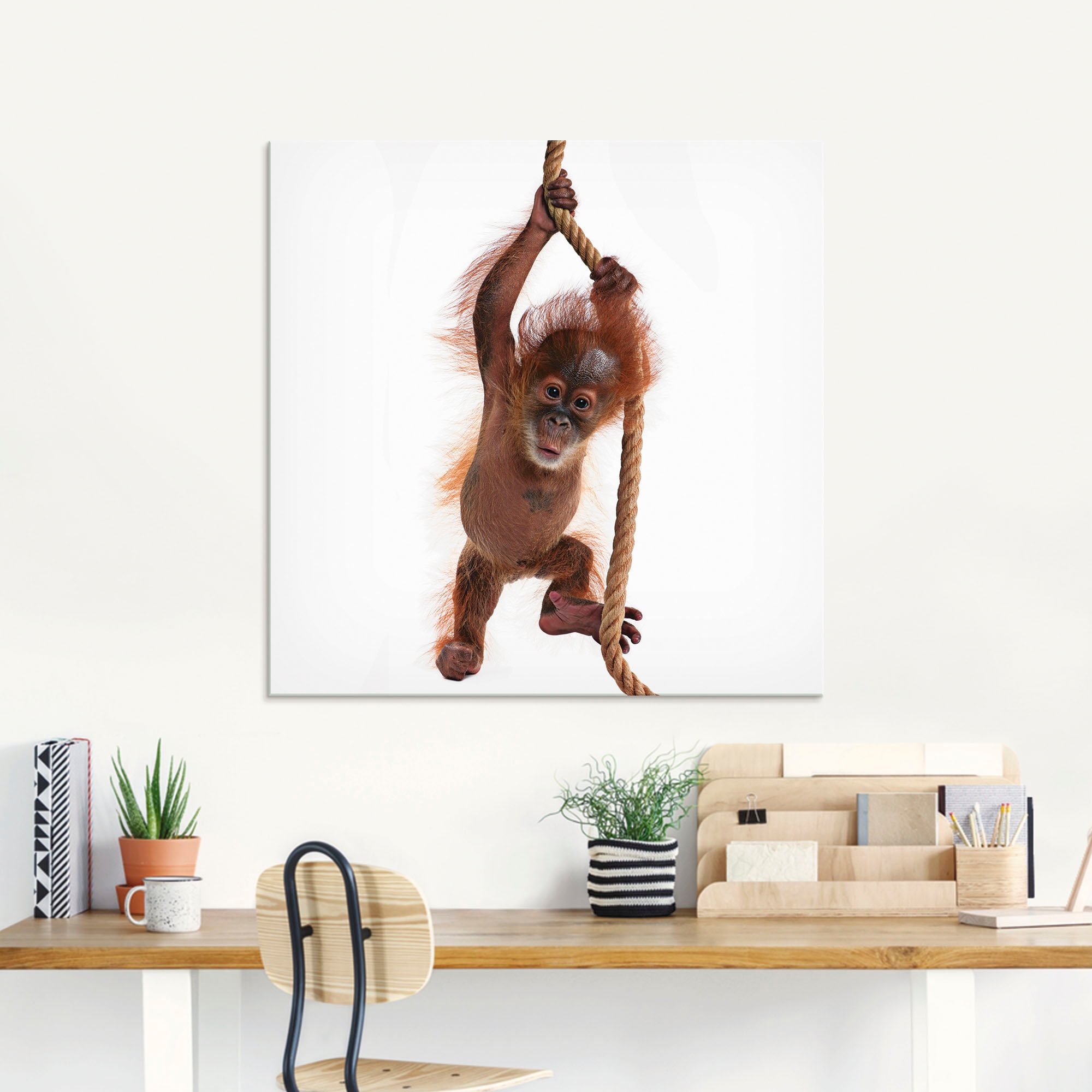 Artland Glasbild »Baby Utan hängt (1 am in St.), Orang Seil«, Größen Wildtiere, kaufen | verschiedenen BAUR Sumatra