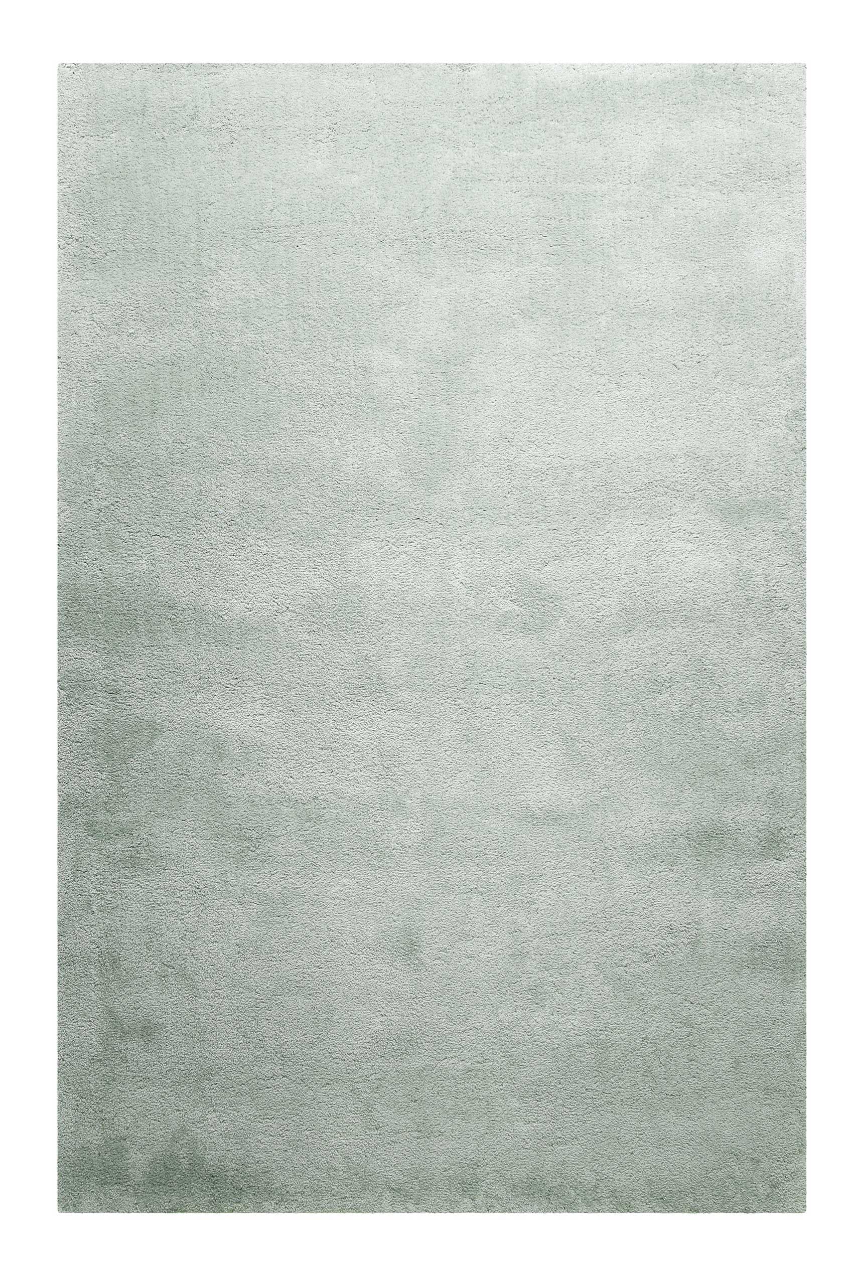 Teppich HOMIE LIVING "Pisa", hellgrau grün, B:120cm H:25mm L:170cm, Polyester, Teppiche, Teppich, Hochflor, Microfaser, uni, weich, Shaggy, Wohnzimmer, Schlafzimmer