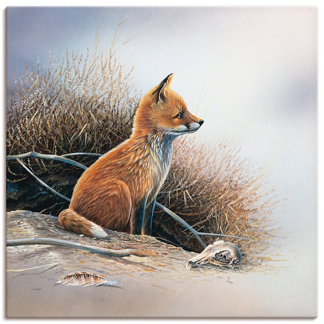 Artland Wandbild »Kleiner Fuchs«, Wildtiere, (1 St.), als Leinwandbild,  Wandaufkleber oder Poster in versch. Größen bestellen | BAUR