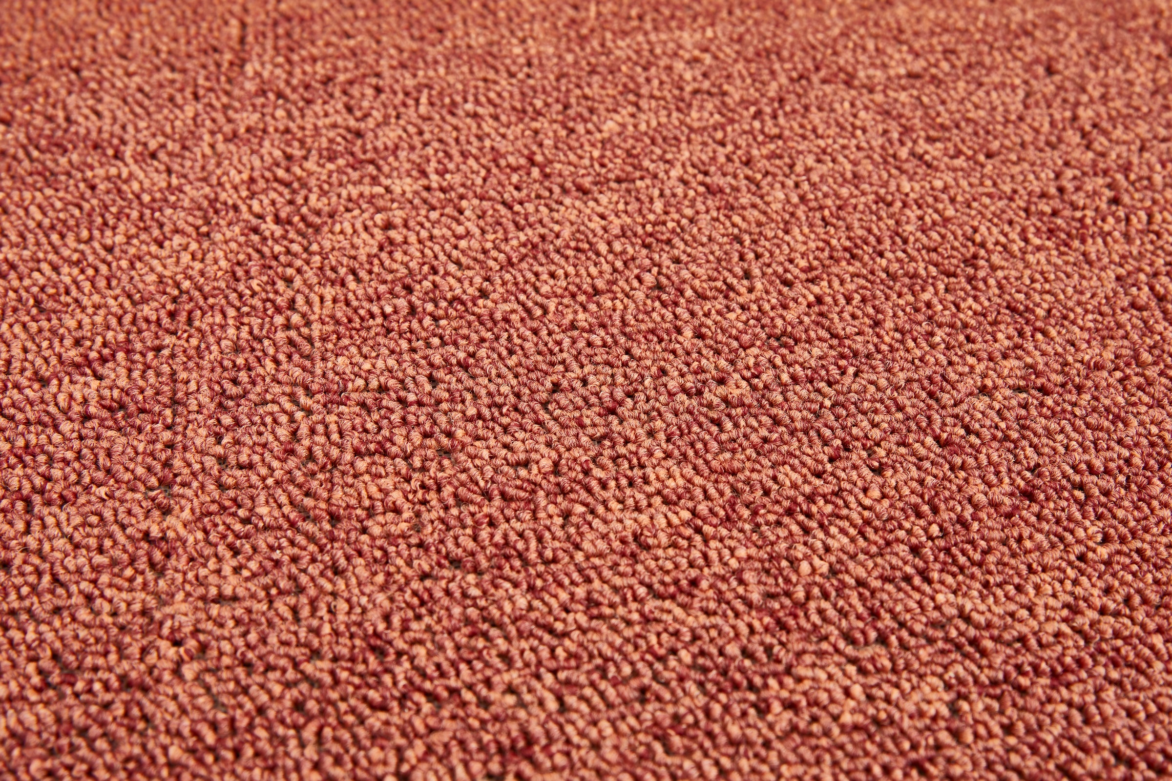 my home Teppichboden »Ruth, melierte Schlinge, Made in Netherlands«, rechteckig, 0,45 mm Höhe, Breite 400 & 500 cm, robust, pflegeleicht, antistatisch