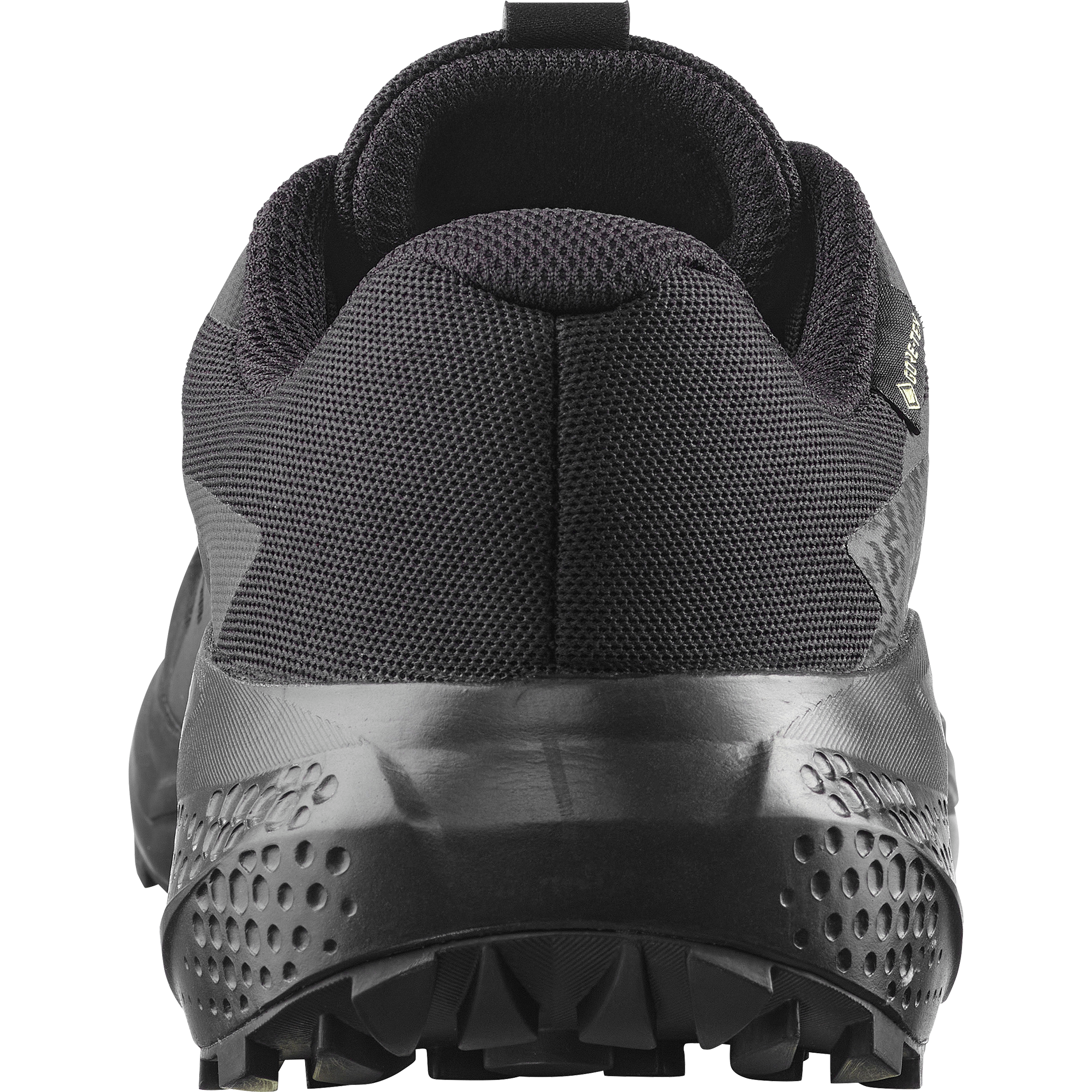 Salomon Trailrunningschuh »ALPHAGLIDE GTX W«  wasserdicht