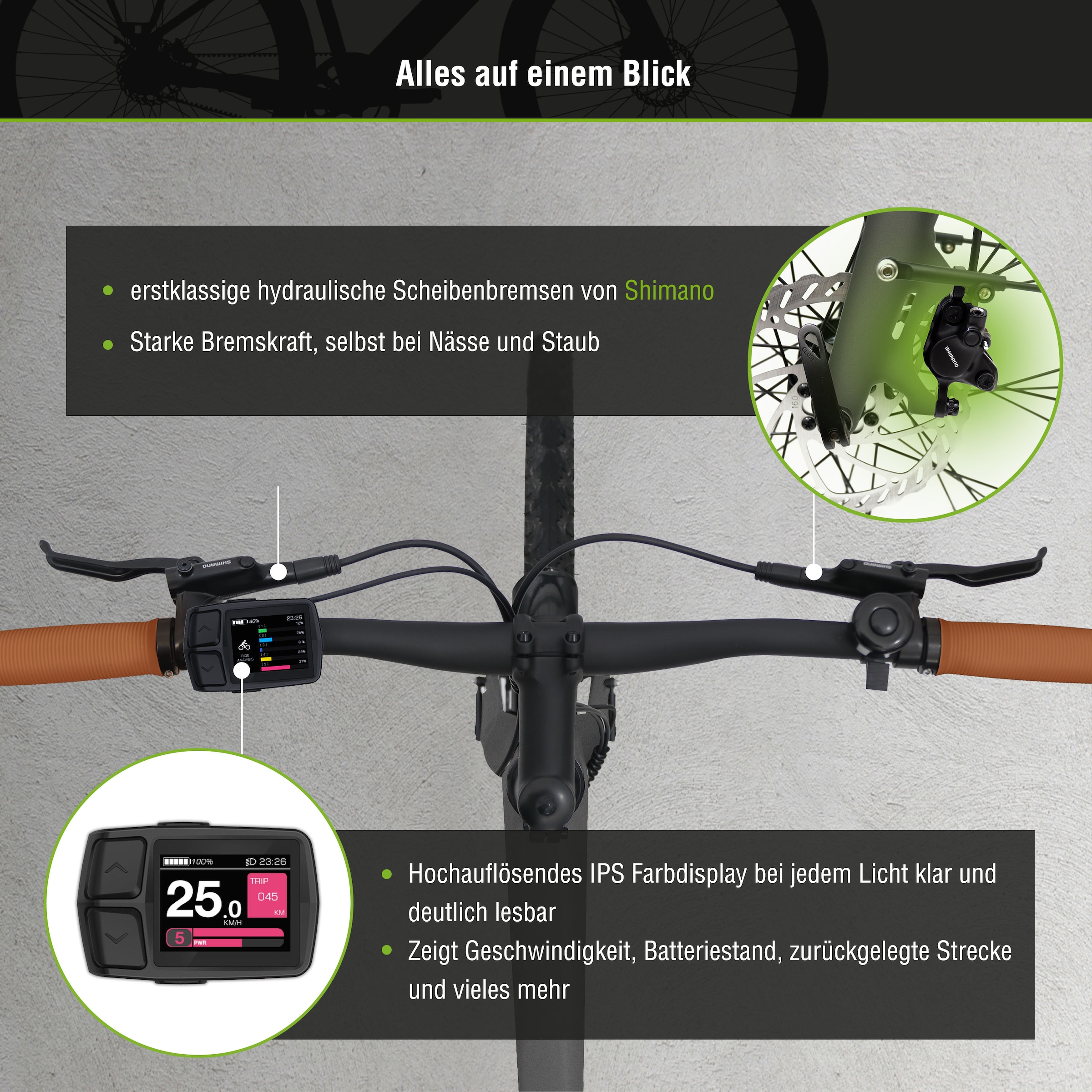 SachsenRad E-Bike »C3T«, 1 Gang, Shimano, keine, Heckmotor 250 W