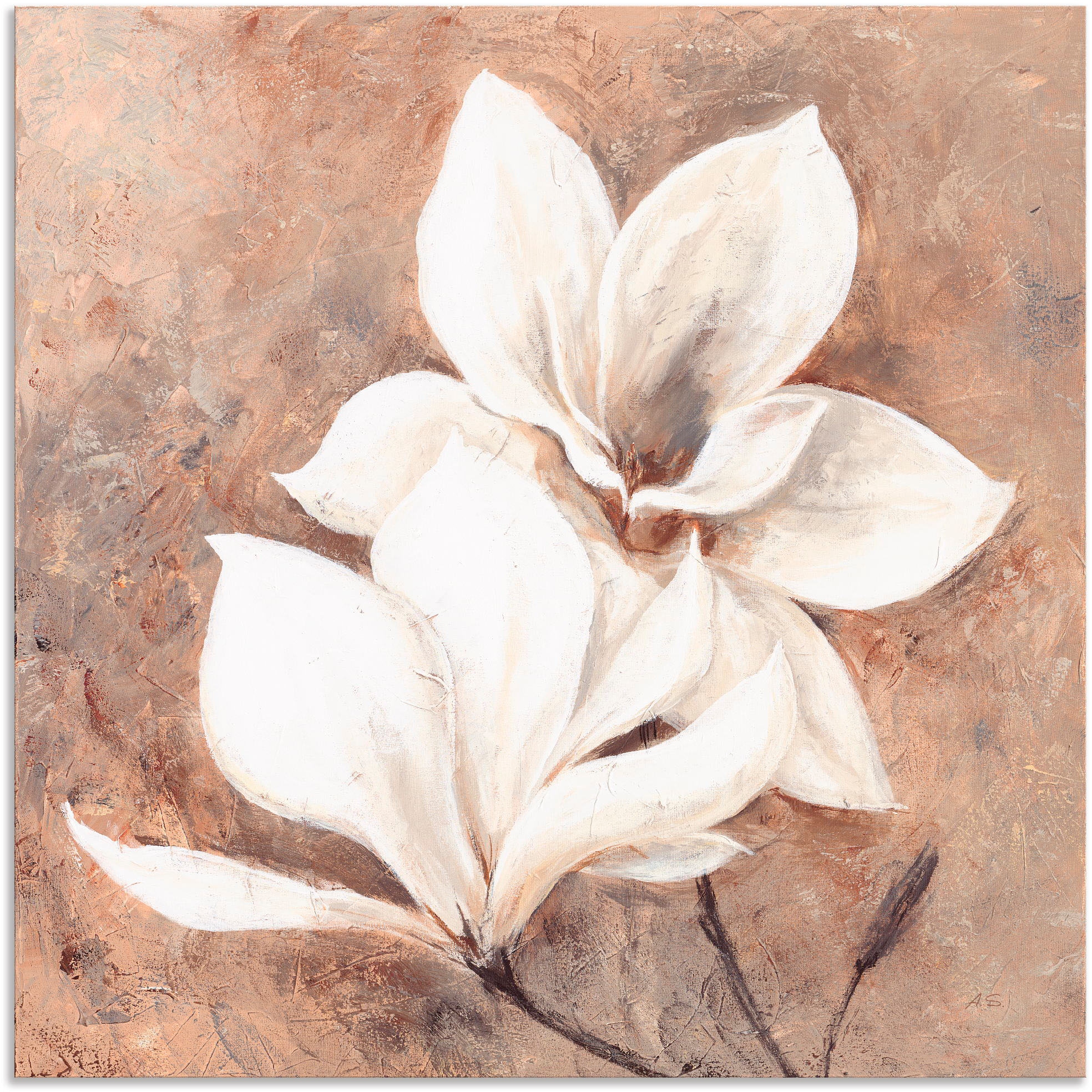 Artland Wandbild "Klassische Magnolien", Blumen, (1 St.), als Alubild, Outdoorbild, Leinwandbild, Poster, Wandaufkleber