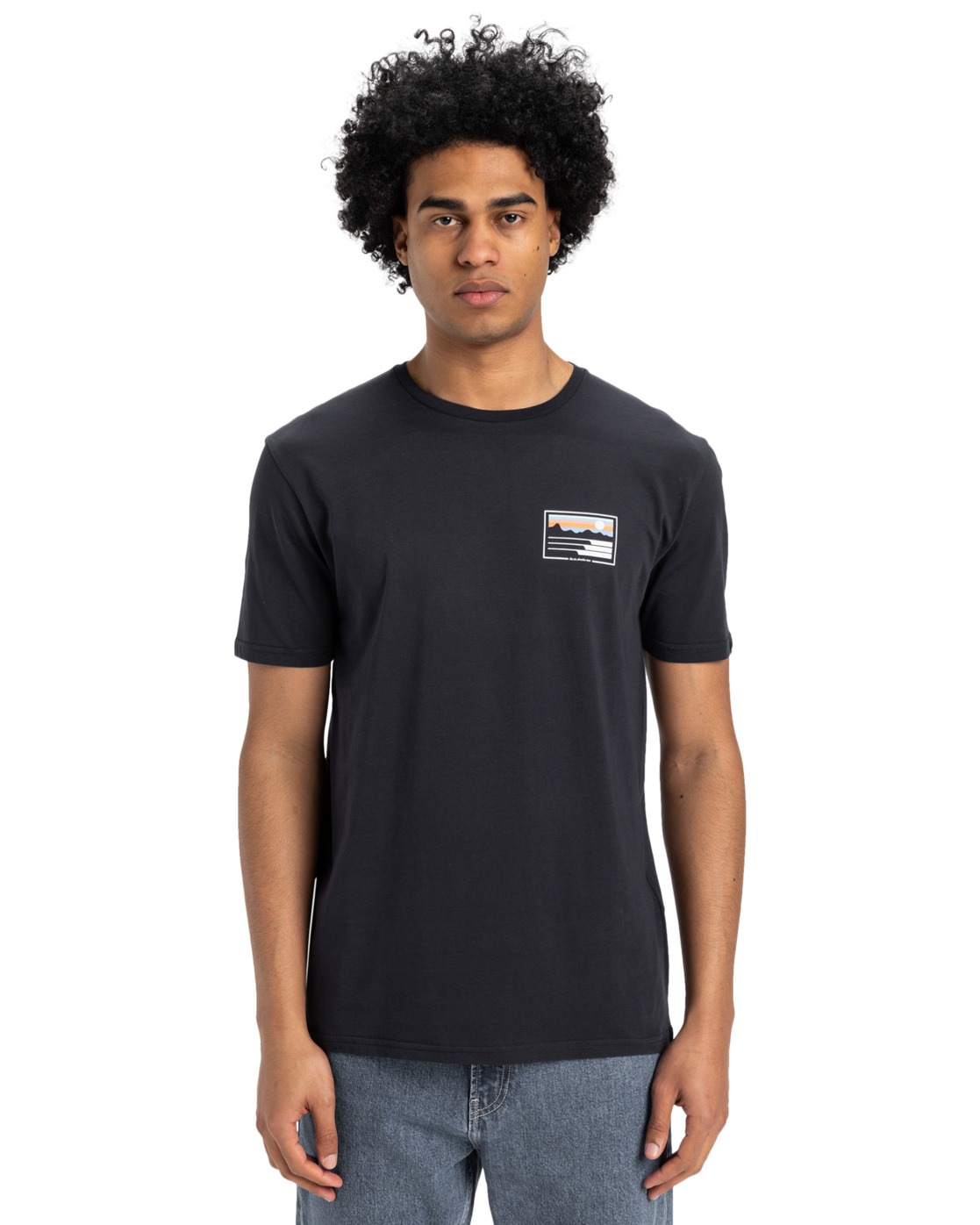 Quiksilver T-Shirt "Land And Sea" günstig online kaufen