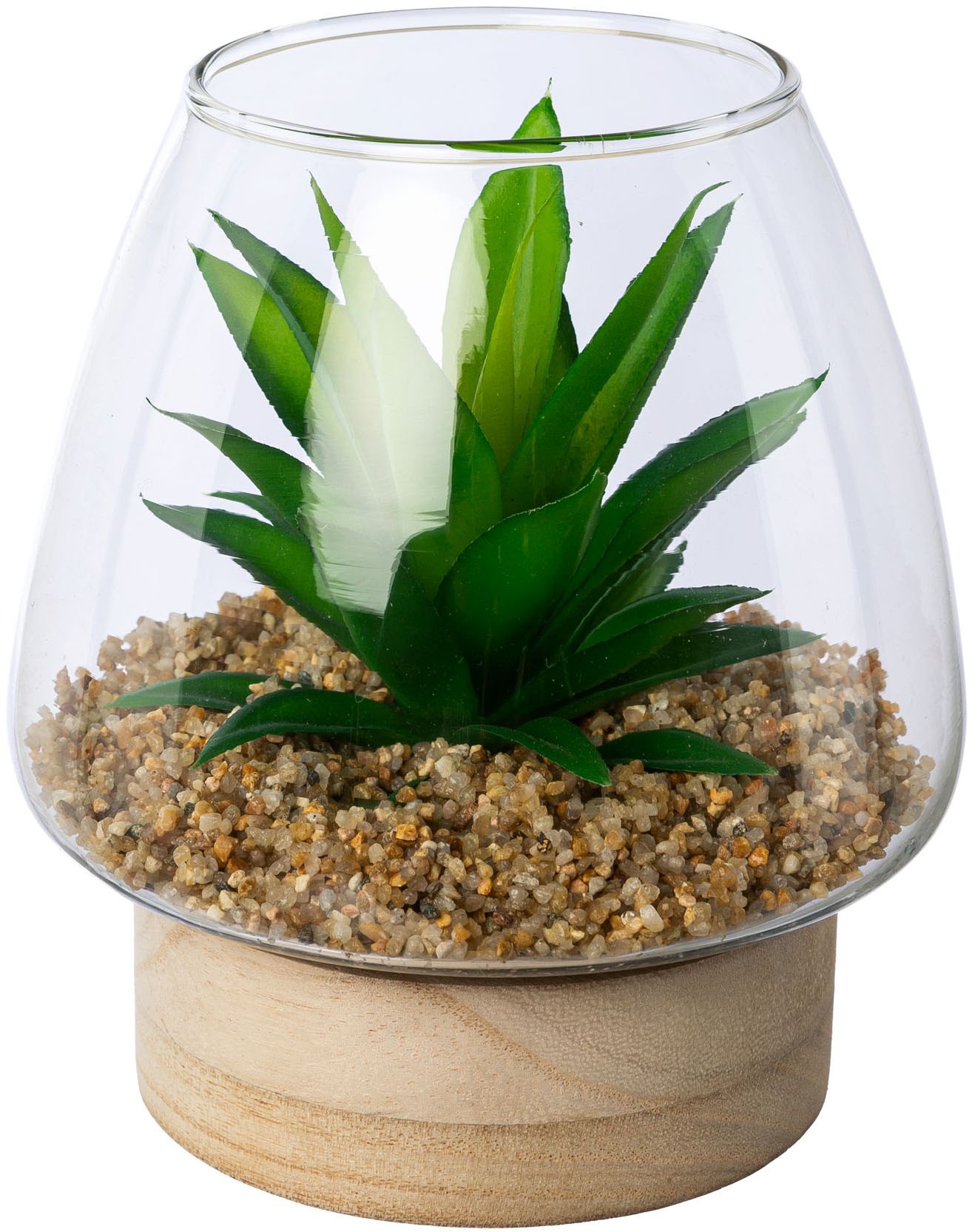 Creativ green Kunstpflanze "Sukkulenten im Glasgefäß" mit 2 verschiedenen S günstig online kaufen