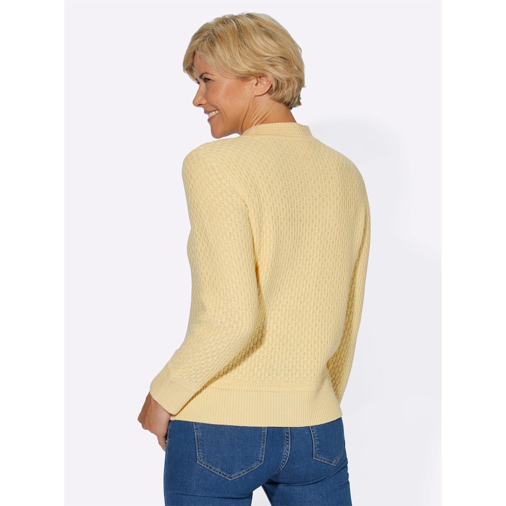 Classic Basics Stehkragenpullover »Pullover«