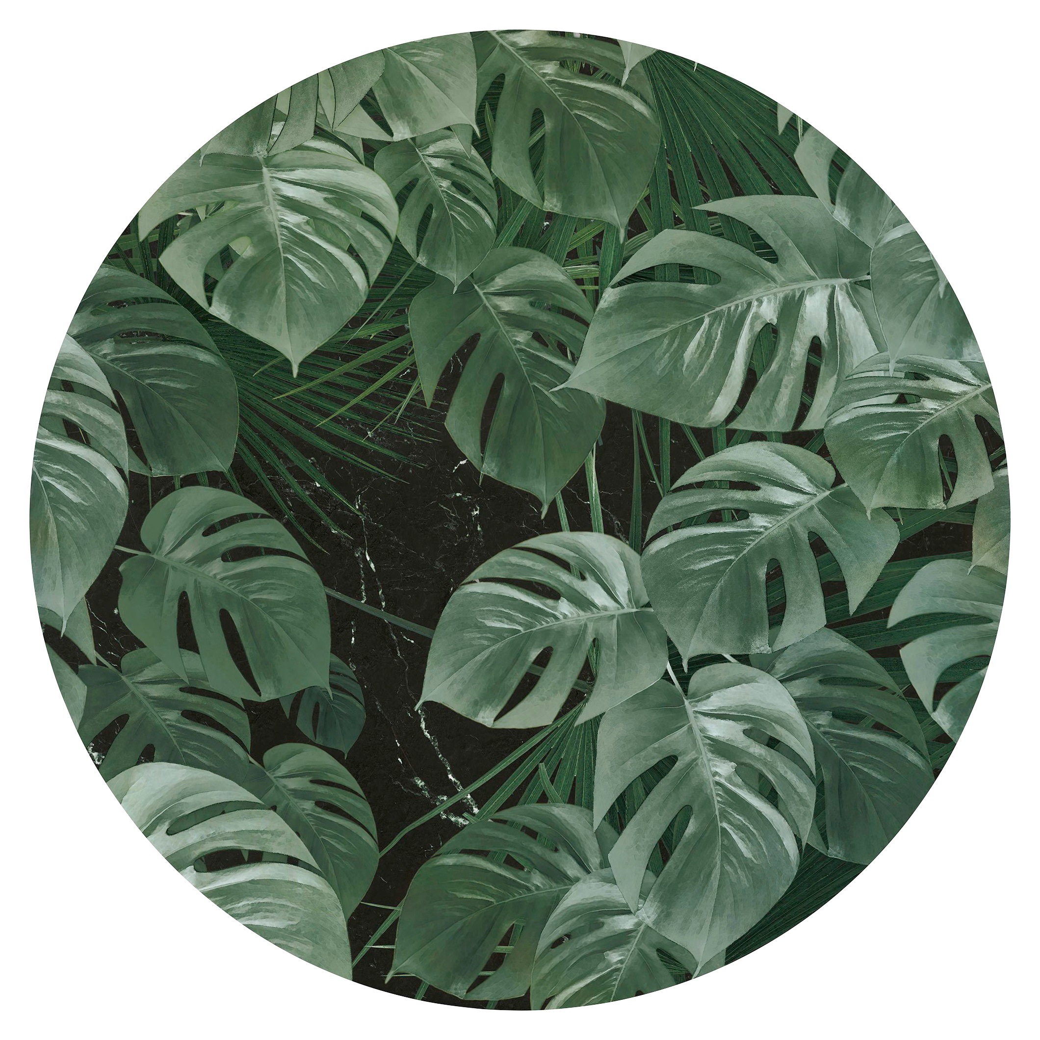 Komar Vliestapete "Novel Monstera", 125x125 cm (Breite x Höhe), rund und selbstklebend