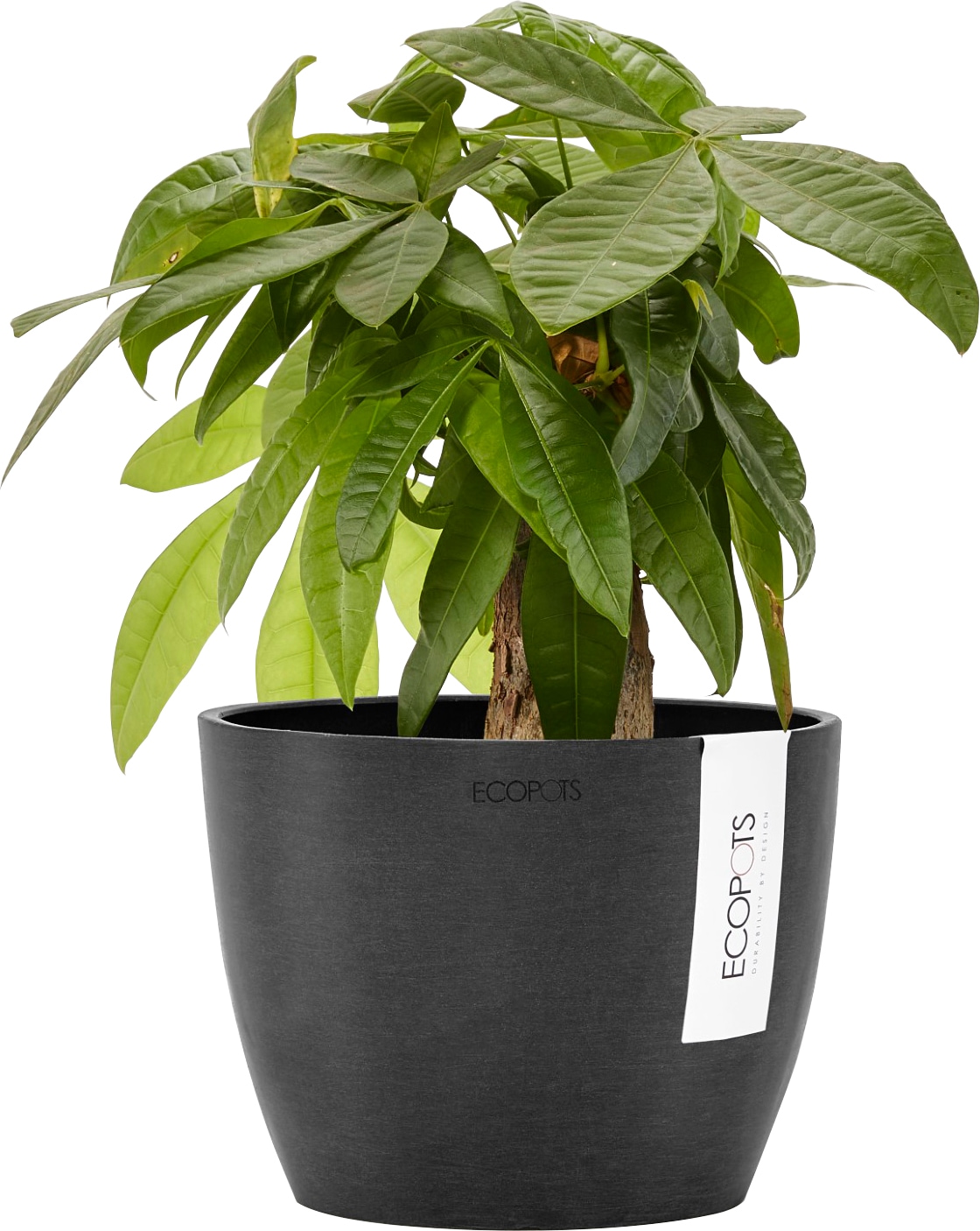 ECOPOTS Blumentopf »STOCKHOLM Dark Grey«, BxTxH: 16x16x12,5 cm