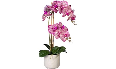 Kunstorchidee »Phalaenopsis«