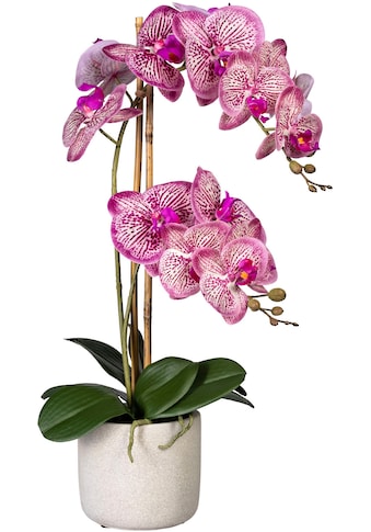 Kunstorchidee »Phalaenopsis«