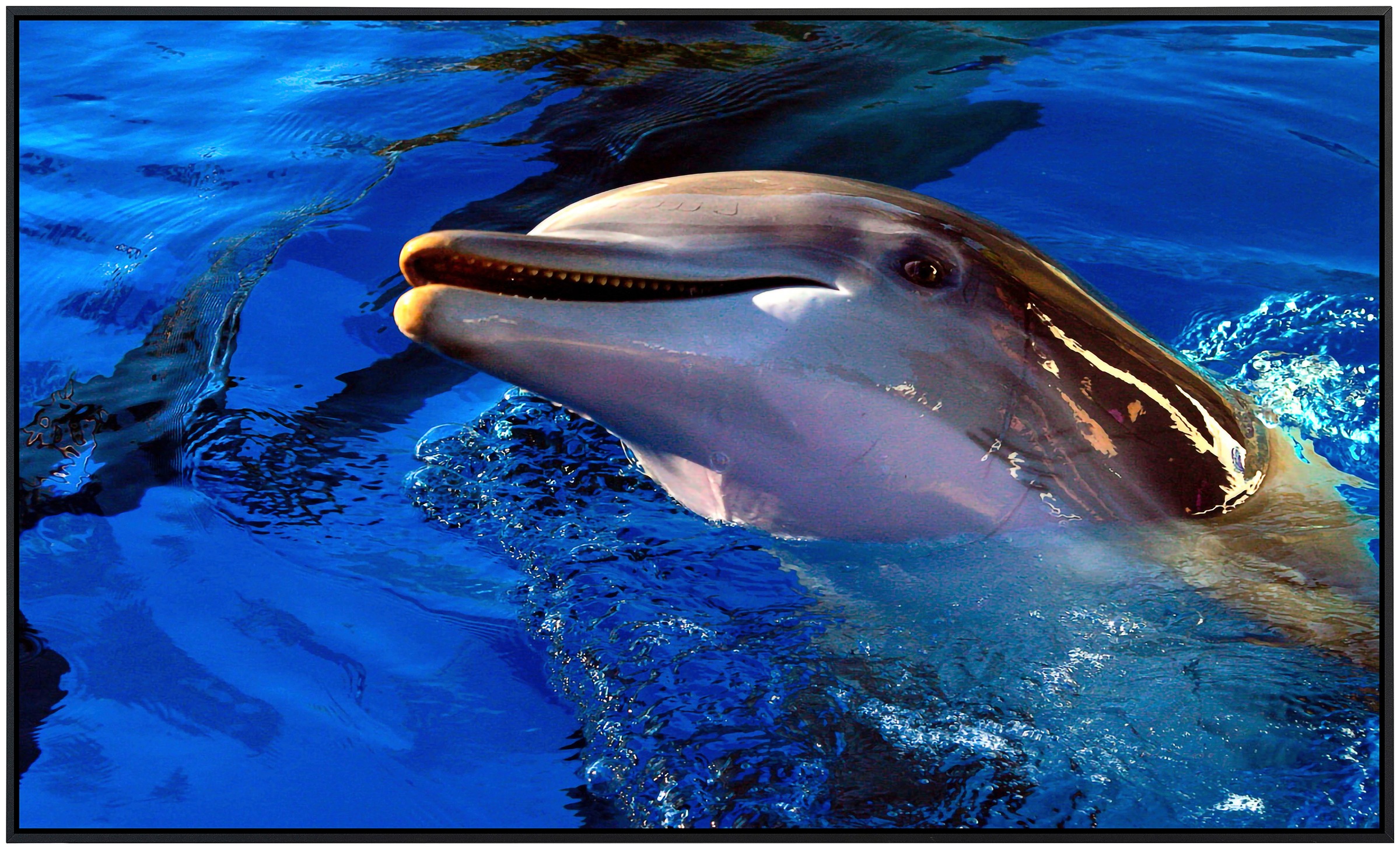Papermoon Infrarotheizung »Delfin«, sehr angenehme Strahlungswärme