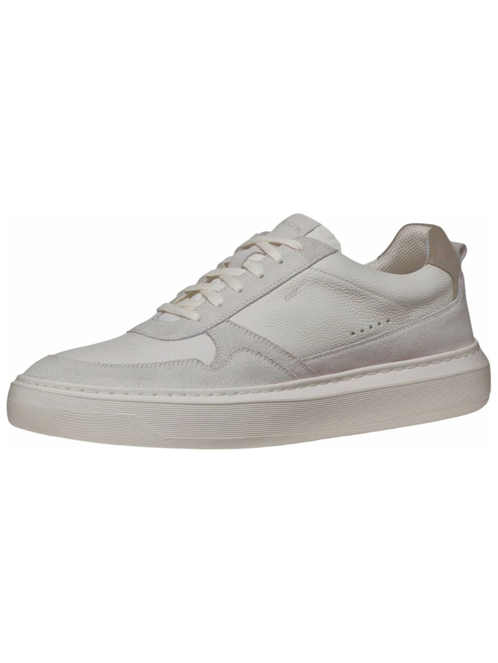 Geox Sneaker "Geox Sneaker Leder/Textil" günstig online kaufen