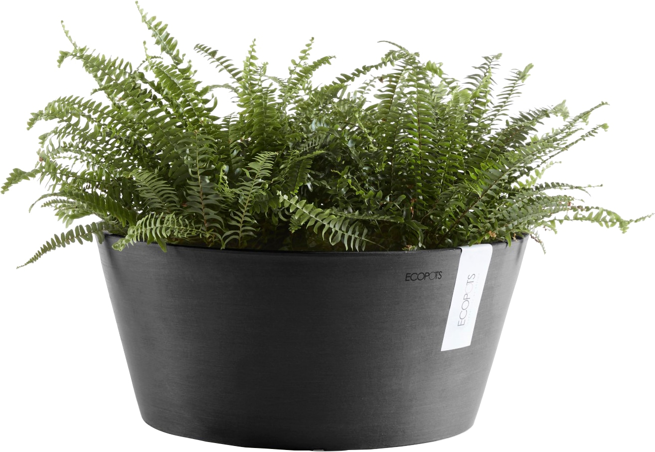 Ecopots Pflanzschale Frankfurt  Dunkelgrau 30 cm günstig online kaufen