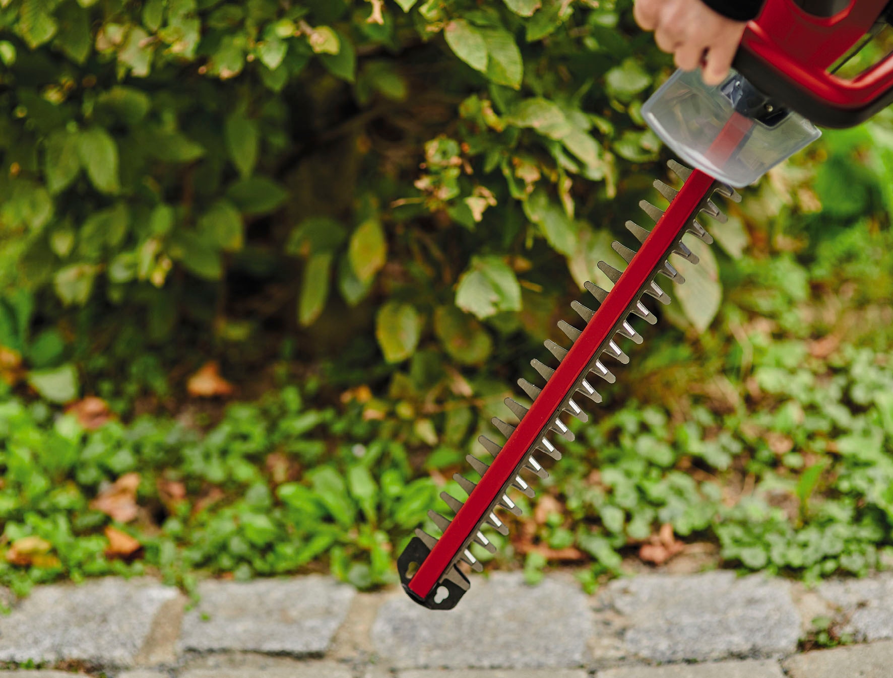 Einhell Akku-Heckenschere »GC-CH 18/50 Li-Solo«, 50 cm Schnittlänge, ohne Akku und Ladegerät