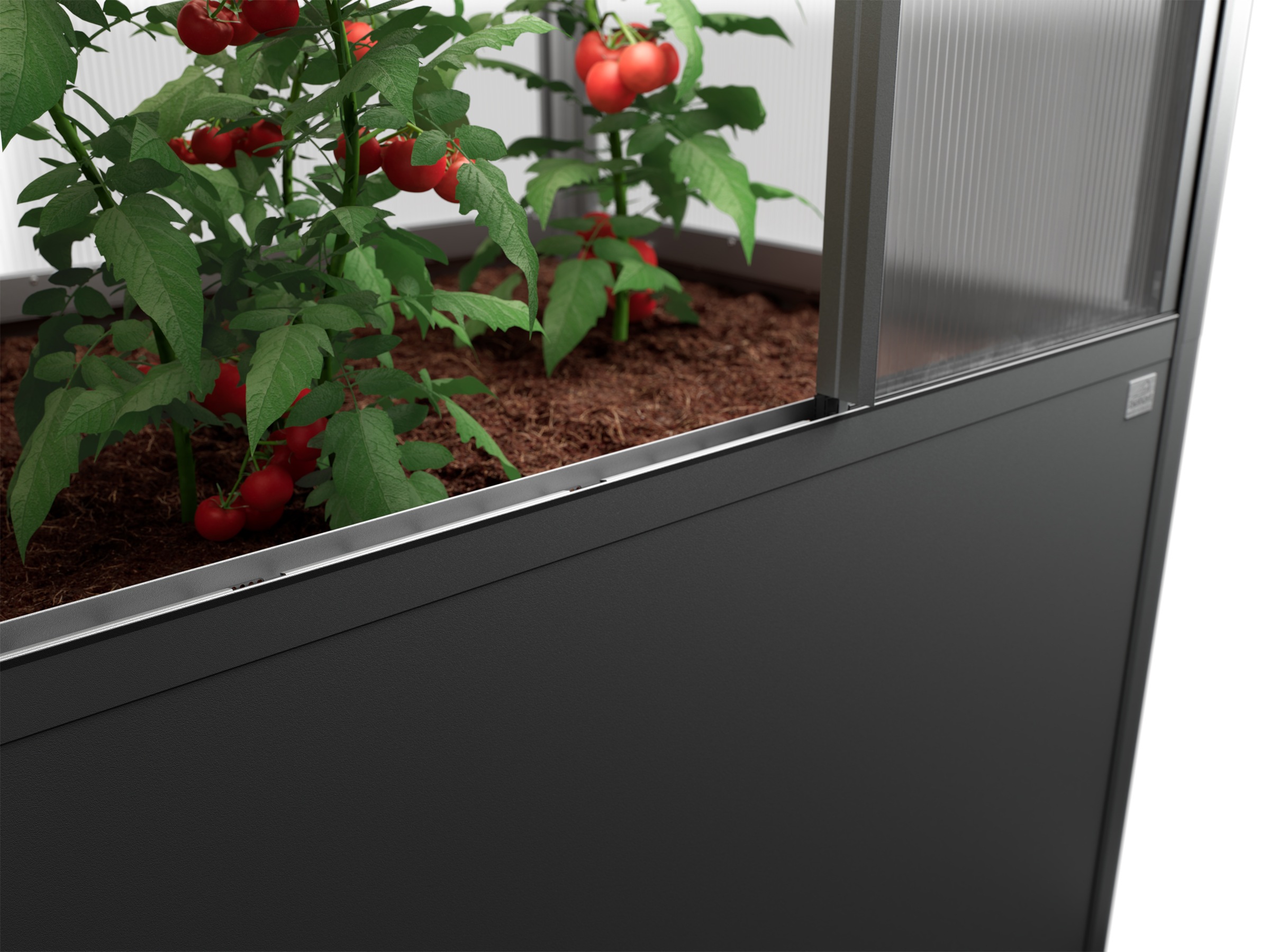 Biohort Gewächshaus »Florentina Gr. 2x1 MAXI, verschiedene Farben« Kompaktes Gewächshaus für hochwachsende Pflanzen