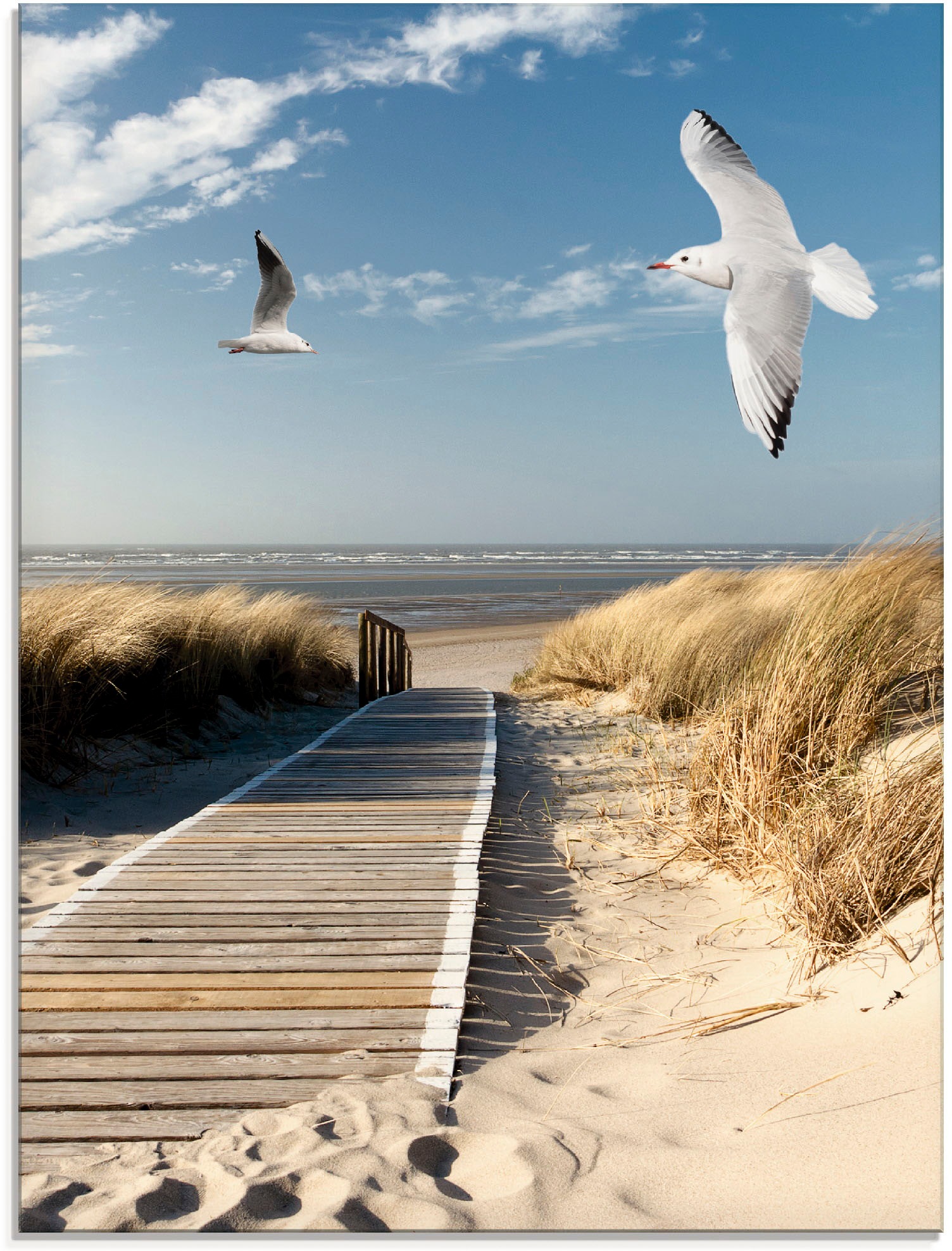 Artland Glasbild »Nordseestrand auf Langeoog mit Möwen«, Strand, (1 St.), in verschiedenen Größen