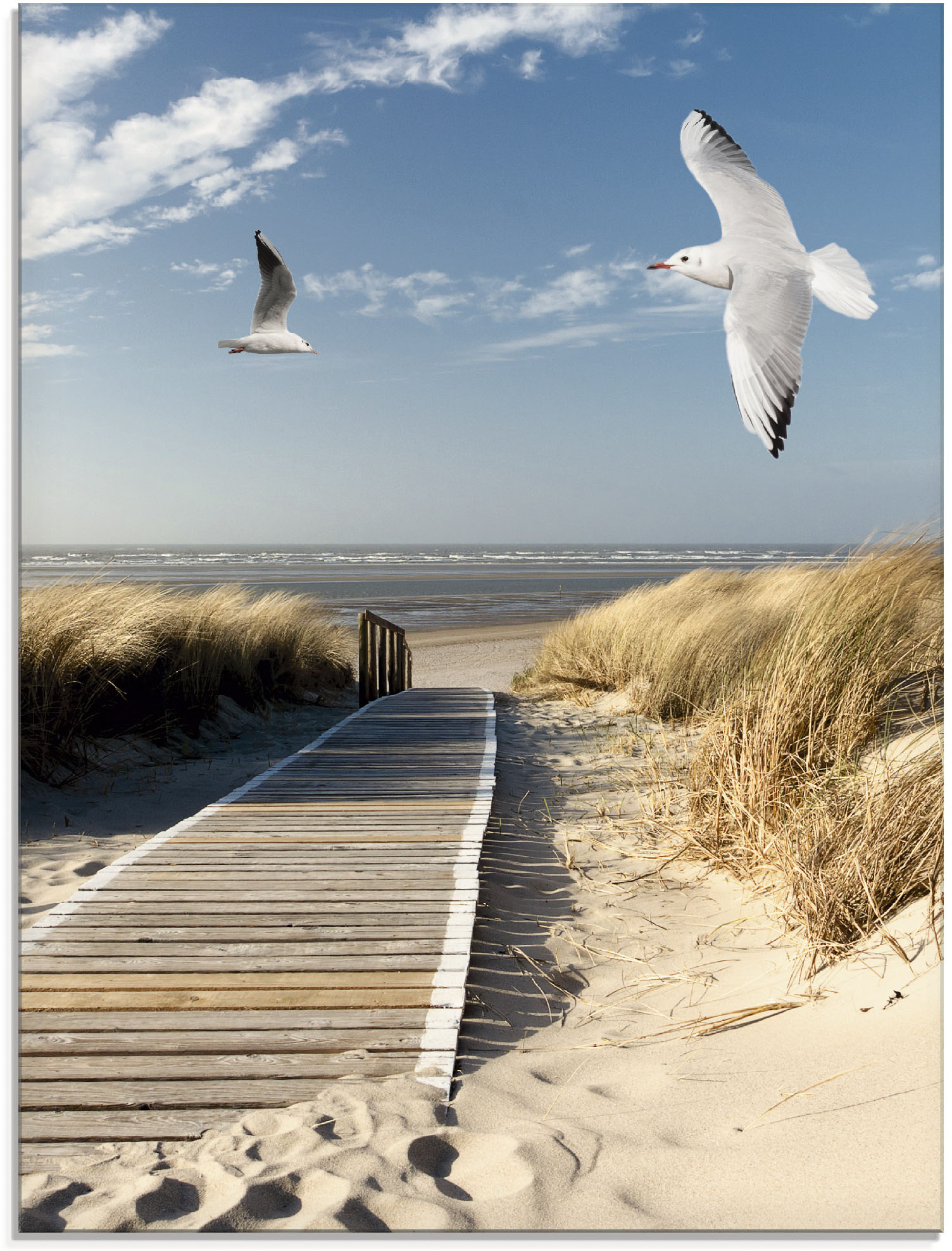Artland Glasbild "Nordseestrand auf Langeoog mit Möwen" Strand 1 Stk. tlg. in verschiedenen Größen