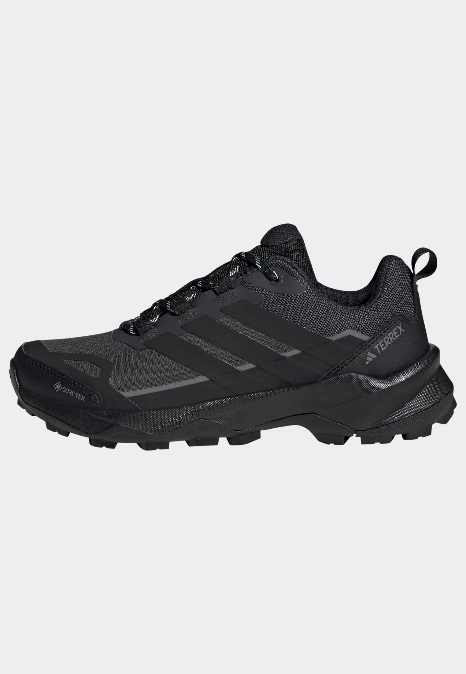 adidas TERREX Wanderschuh »TERREX SKYCHASER AX5 GORE-TEX«, wasserdicht