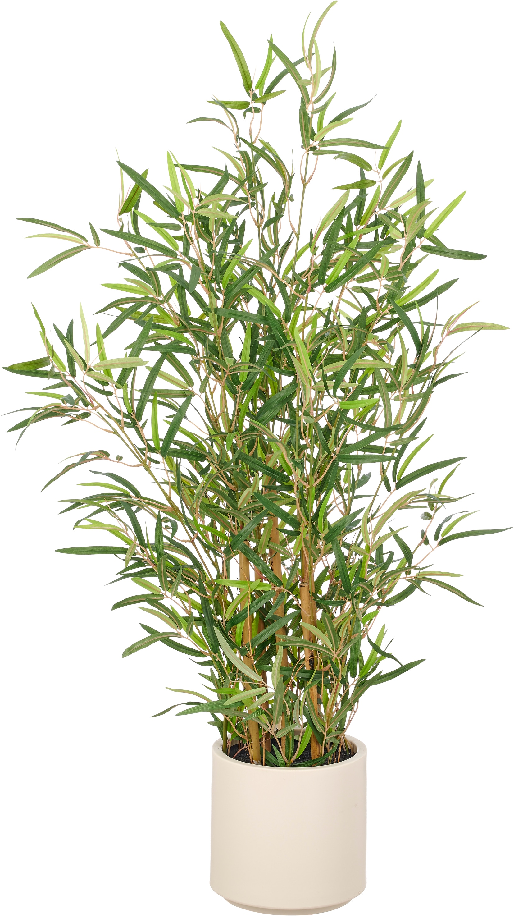 Creativ green Kunstbambus "Bambus fargesia" mit naturgetreuem Blattwerk