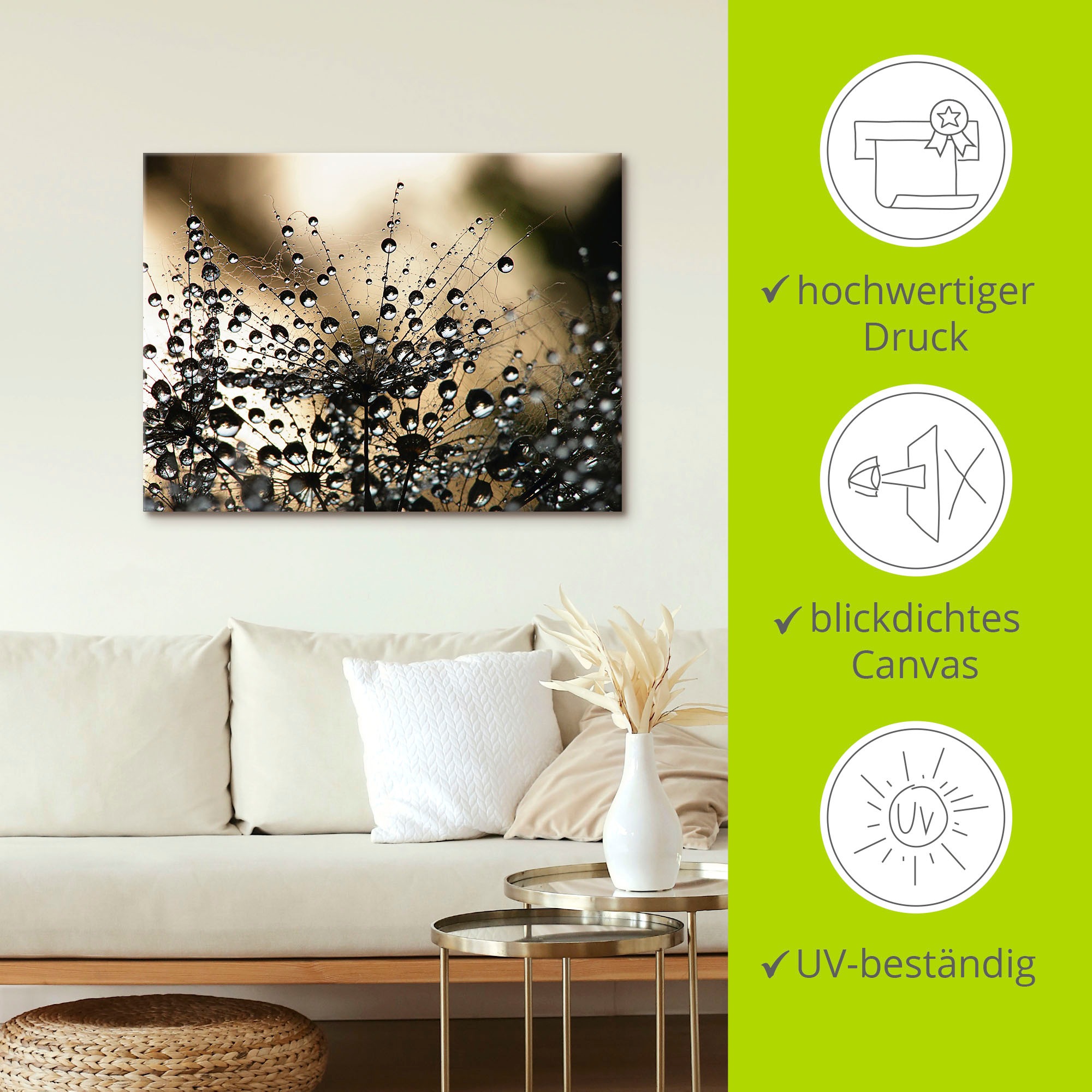 Artland Wandbild »Nasser Löwenzahn«, Blumen, (1 St.), als Alubild, Outdoorbild, Leinwandbild, Poster, Wandaufkleber