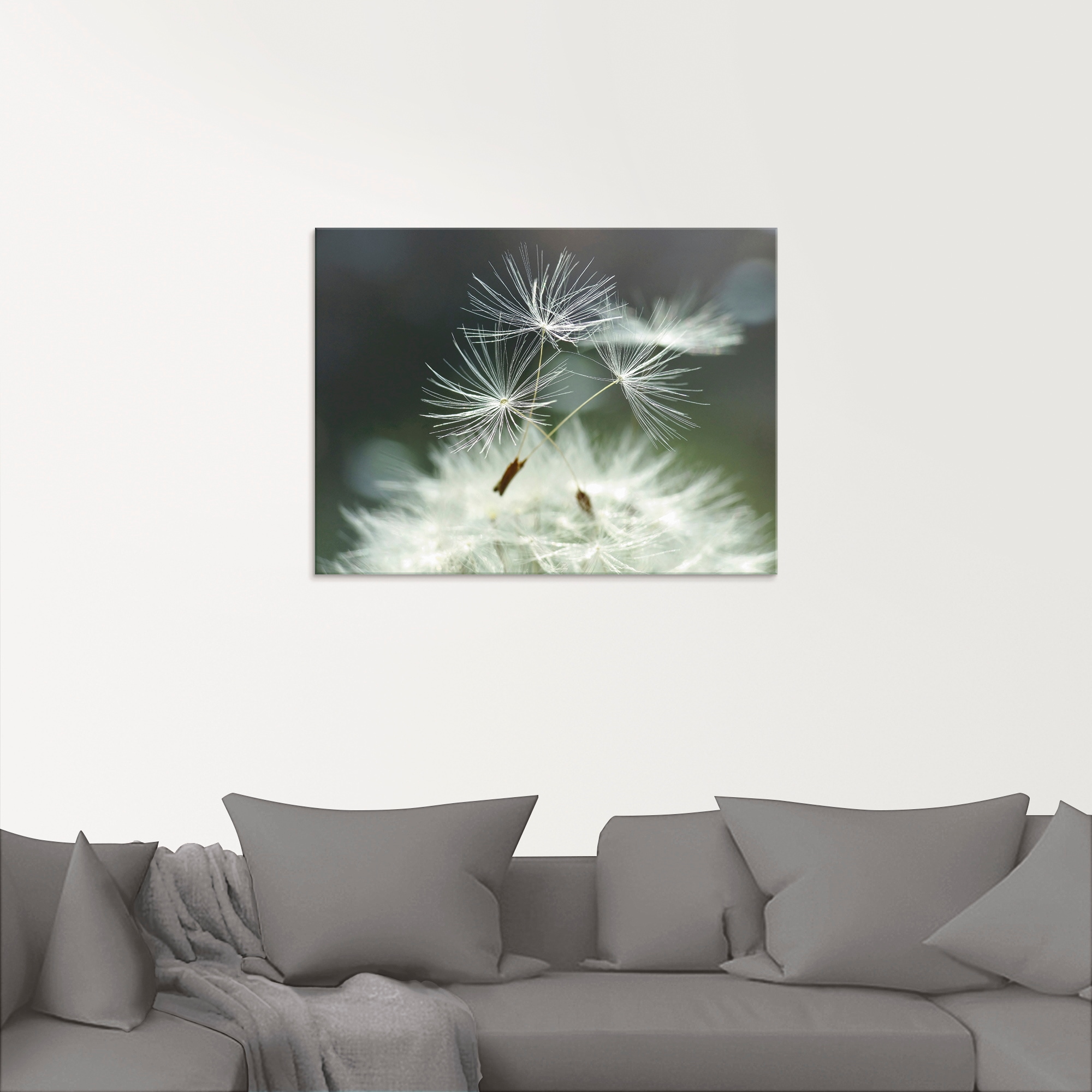 Artland Glasbild »Pusteblume Facility«, Blumen, (1 St.), in verschiedenen Größen
