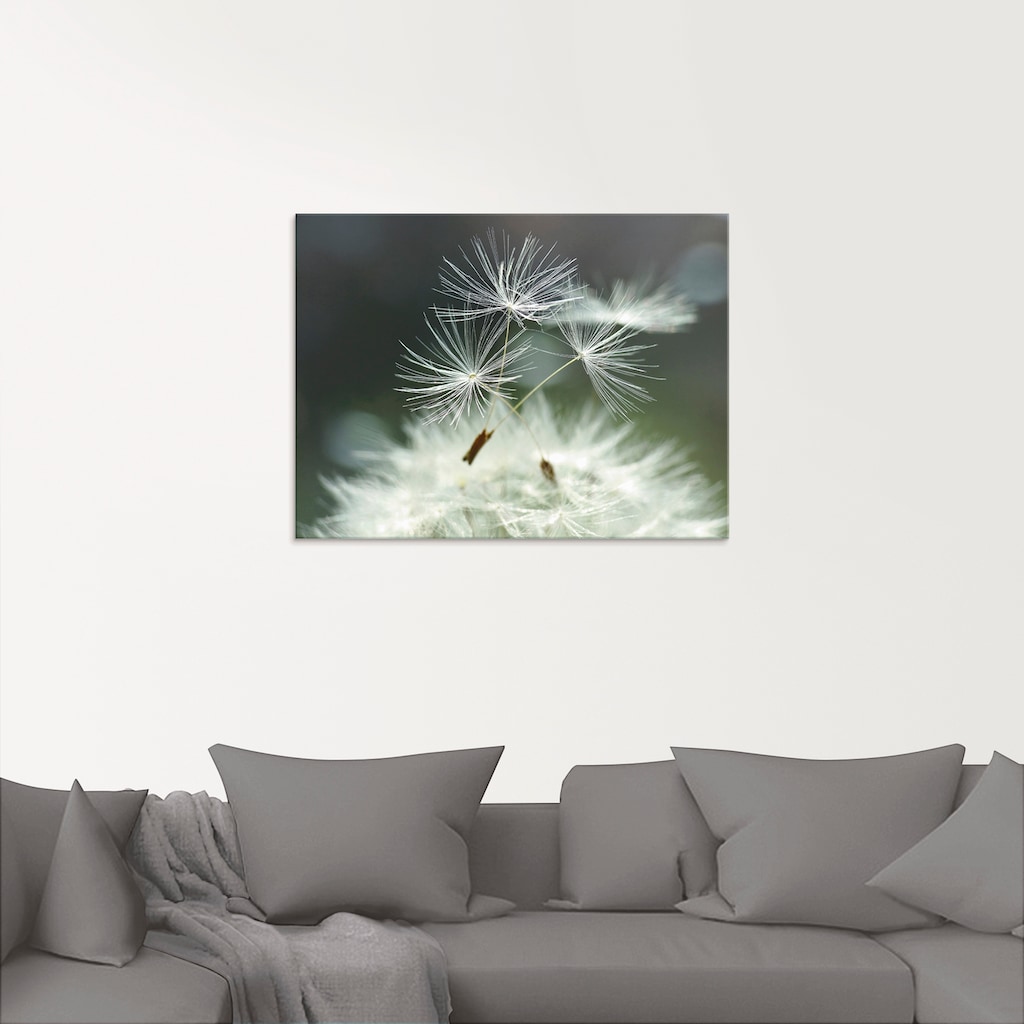 Artland Glasbild »Pusteblume Facility«, Blumen, (1 St.)